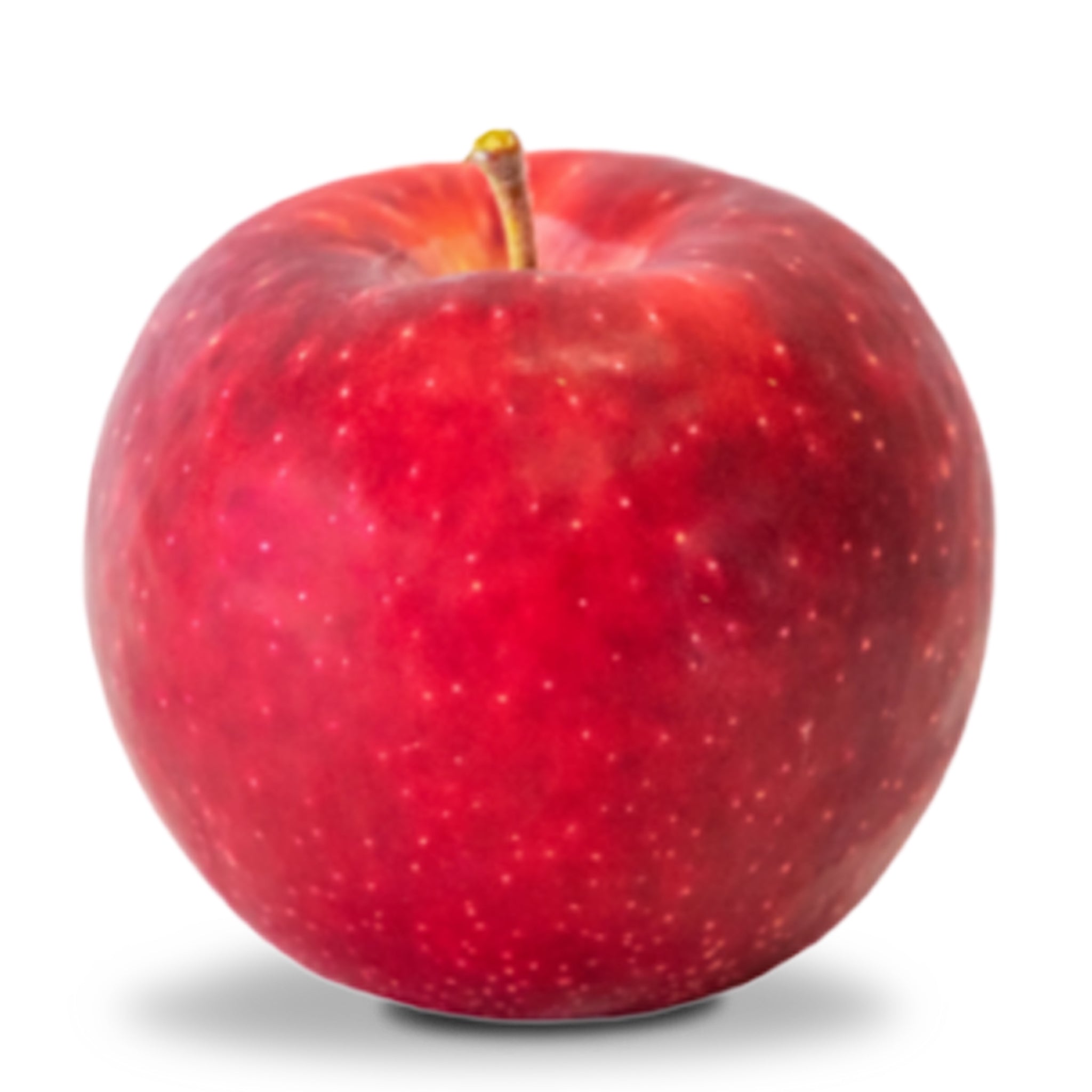 Apple, Semi-Dwarf, Kudos®