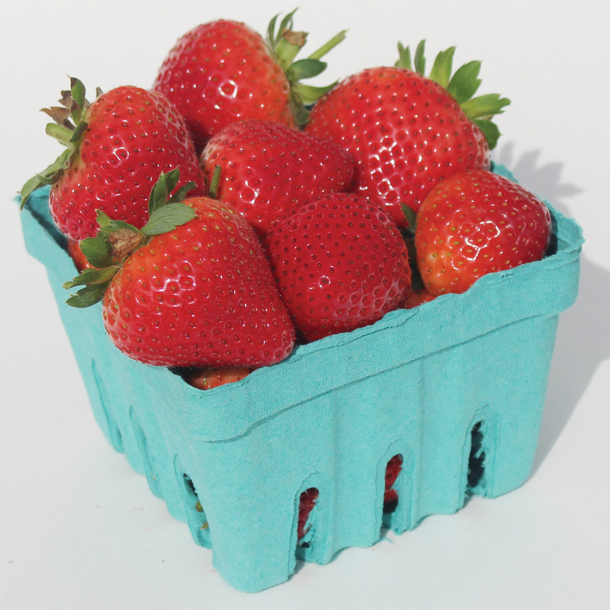 Strawberry, Day-Neutral, Evie 2, 25 Plants