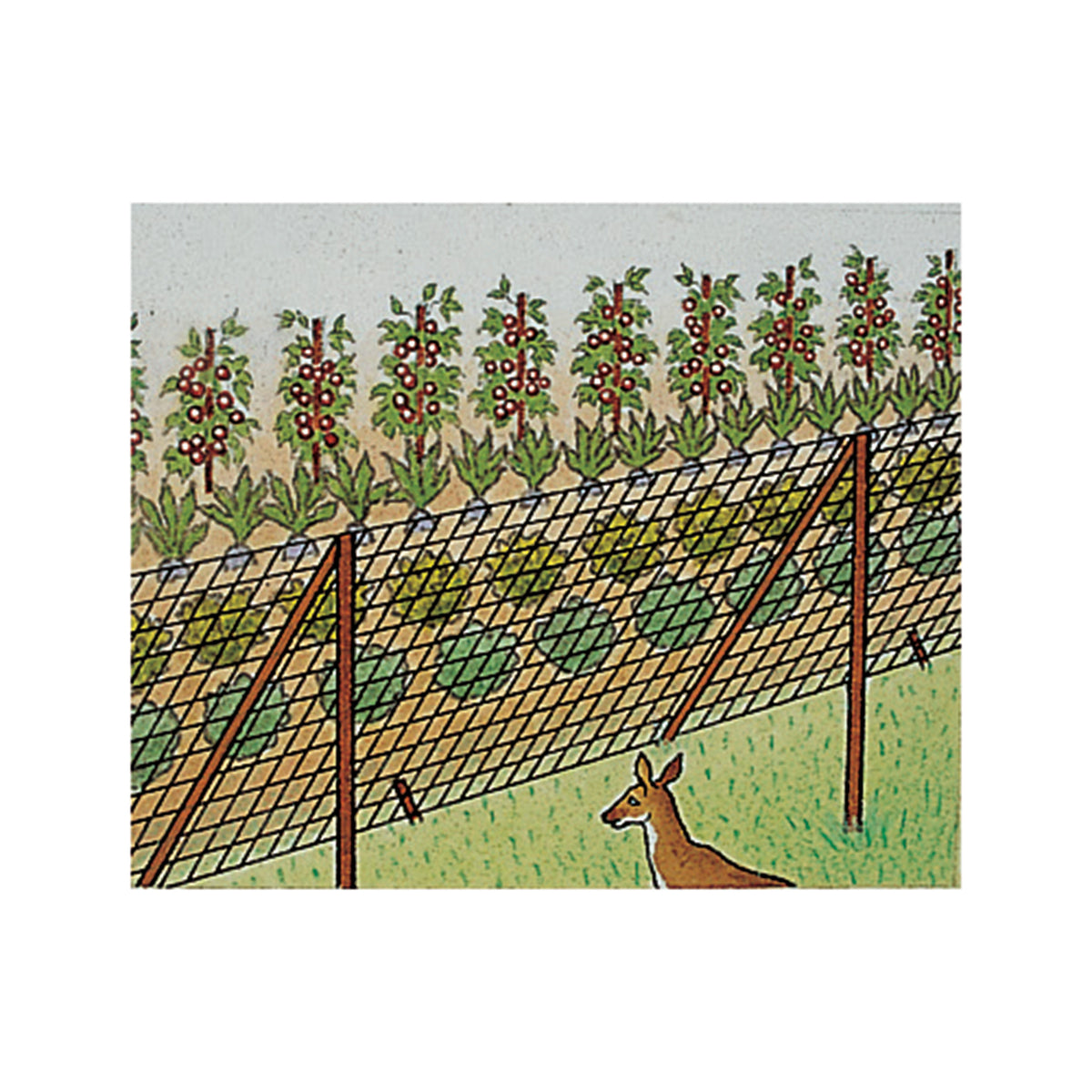 Dalen® Deer-X® Protective Netting, 7 Ft X 100 Ft - 3/4 Inch Mesh