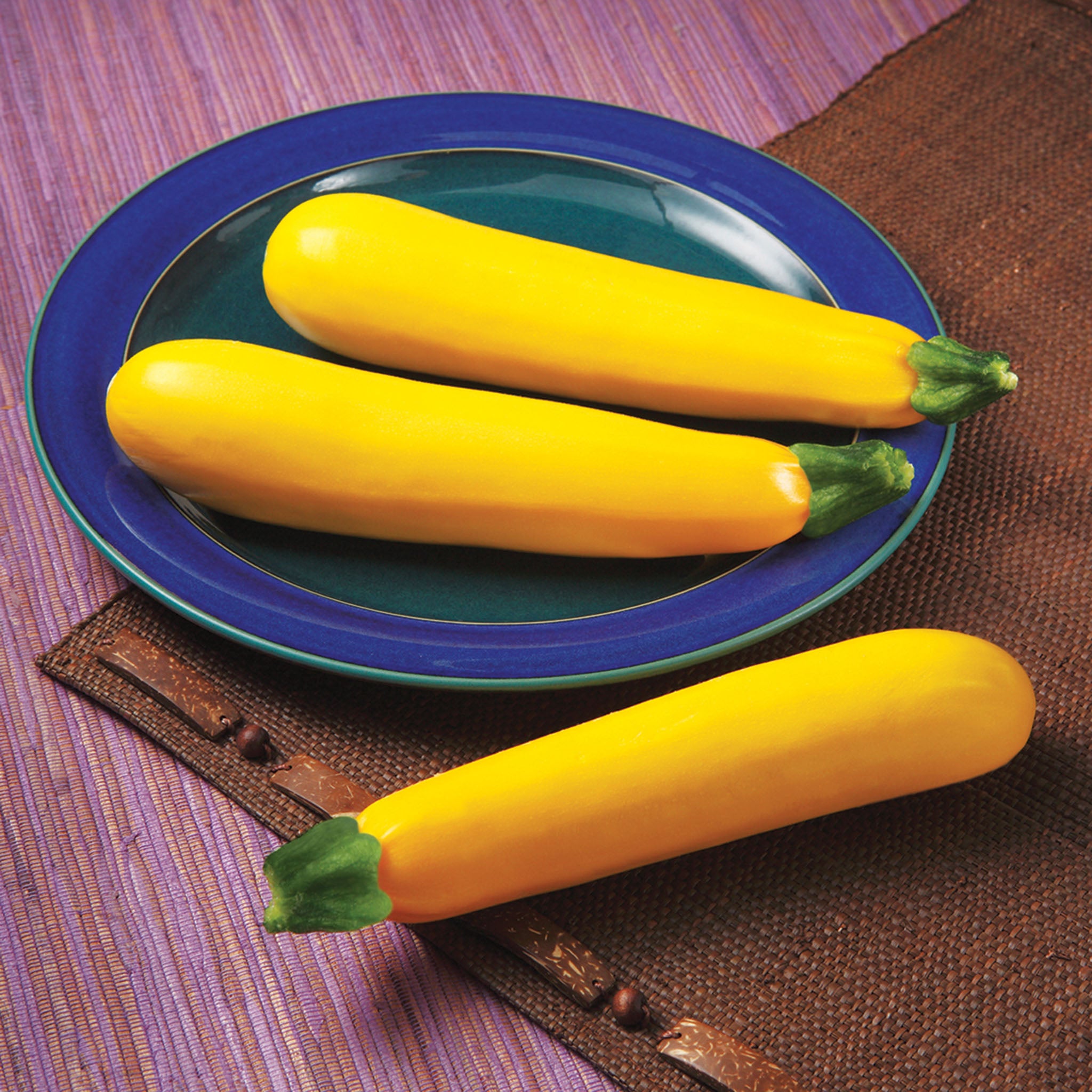 Squash, Summer, Golden Glory Zucchini Hybrid