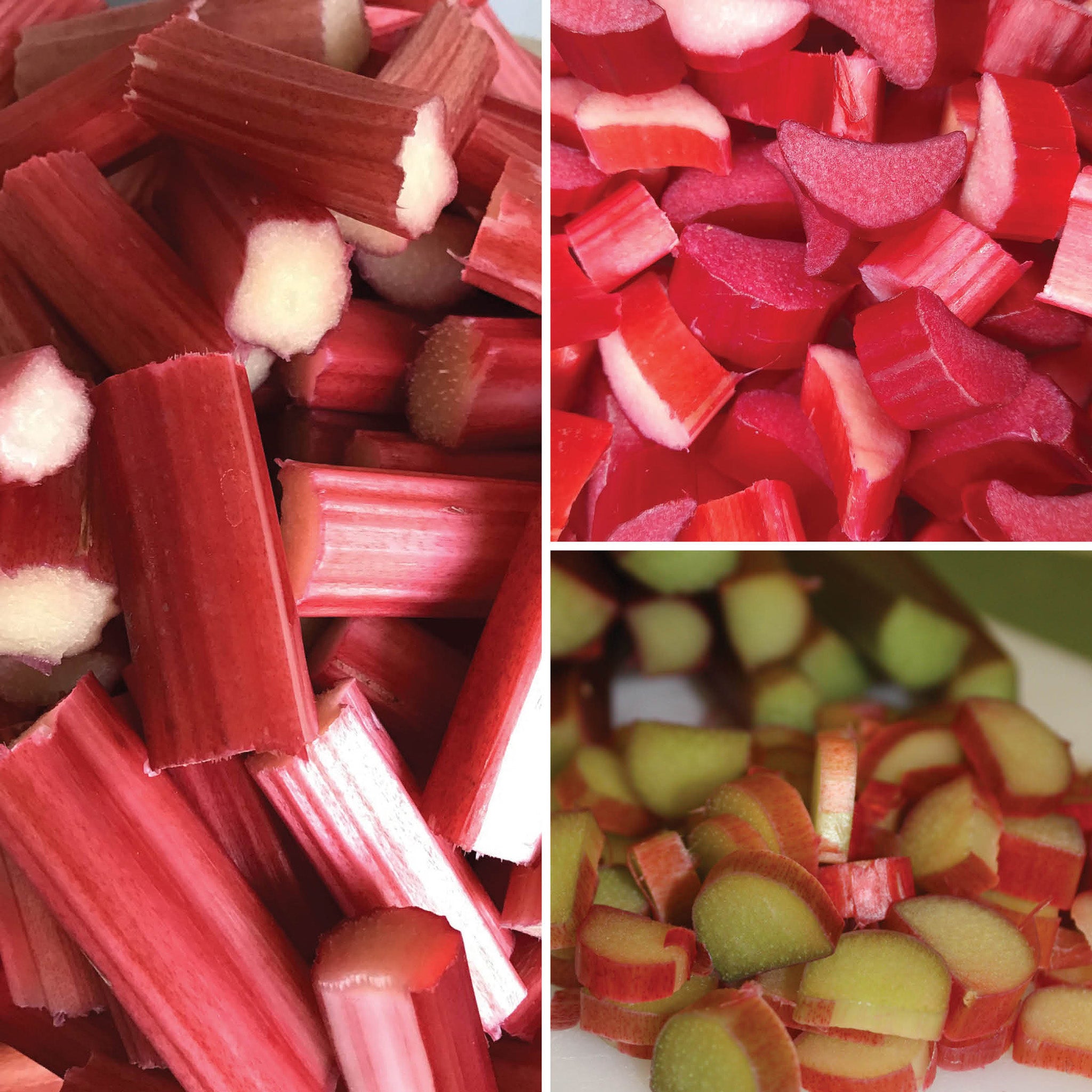 Rhubarb Offer B
