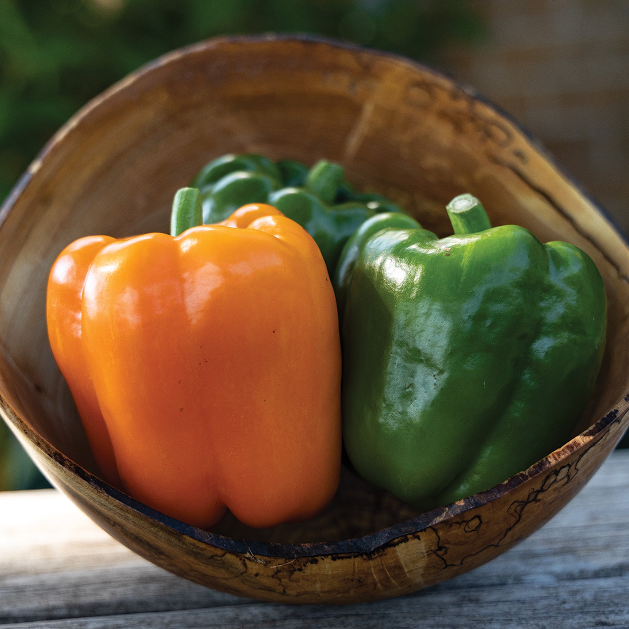 Pepper, Sweet, Orange Bell
