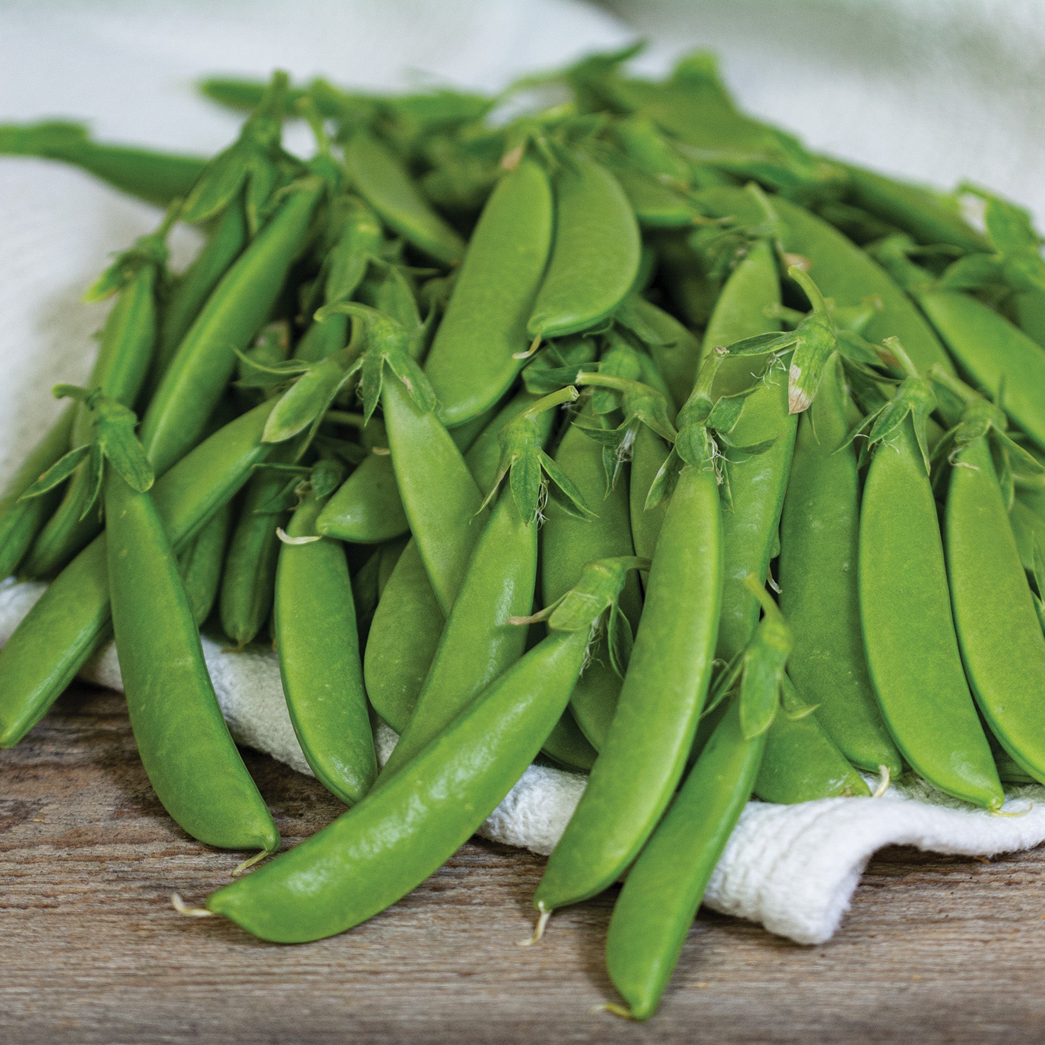 Pea, Sugar Ann.