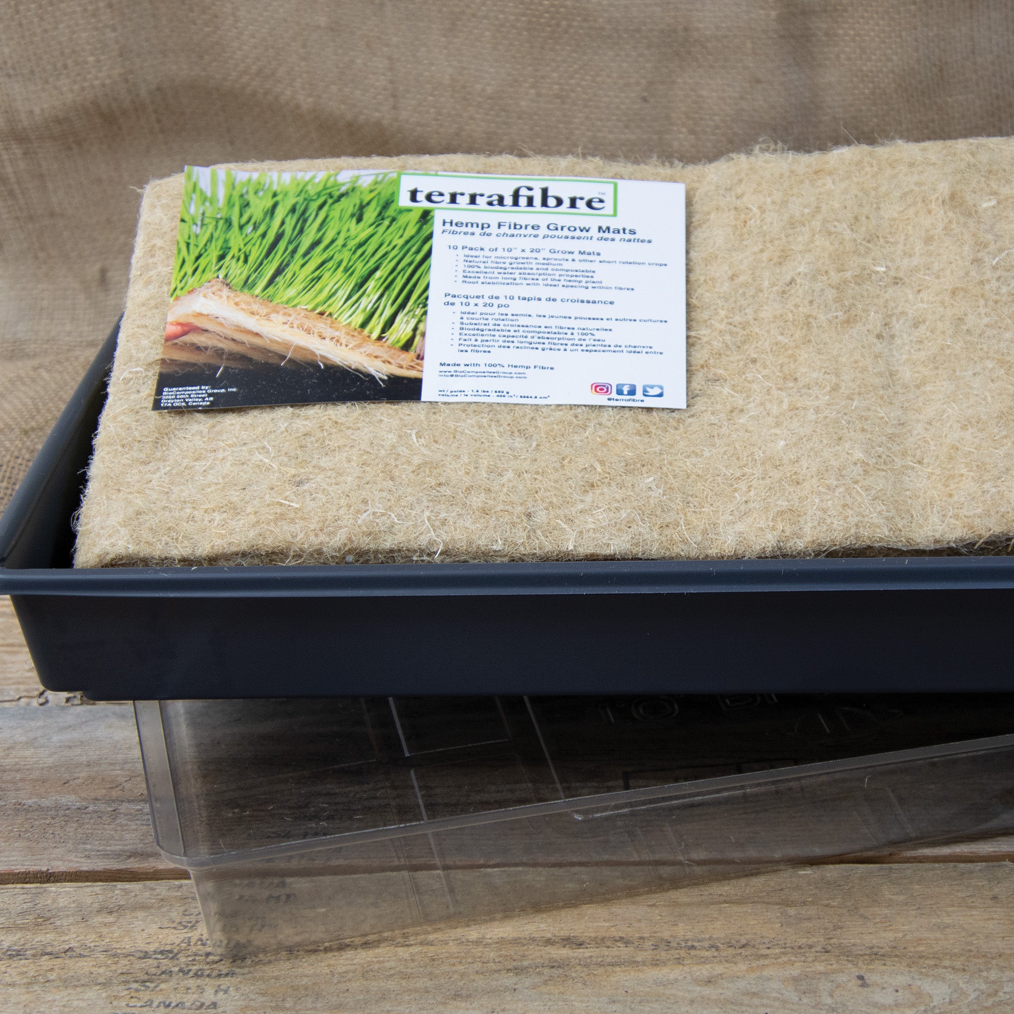 Terrafibre™ Microgreens Starter Kit