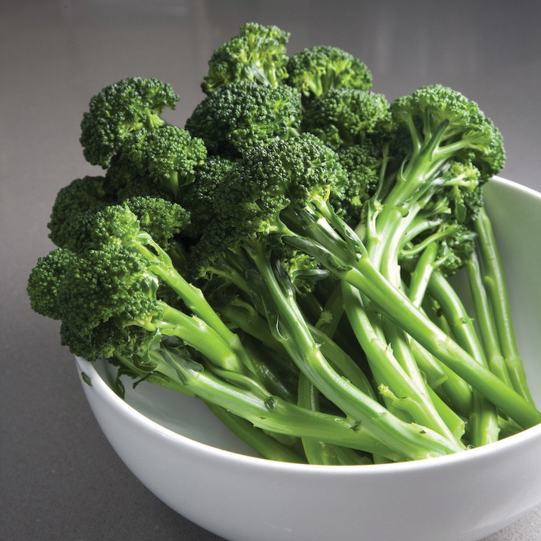 Broccoli, Artwork Hybrid – Jung Seed Company