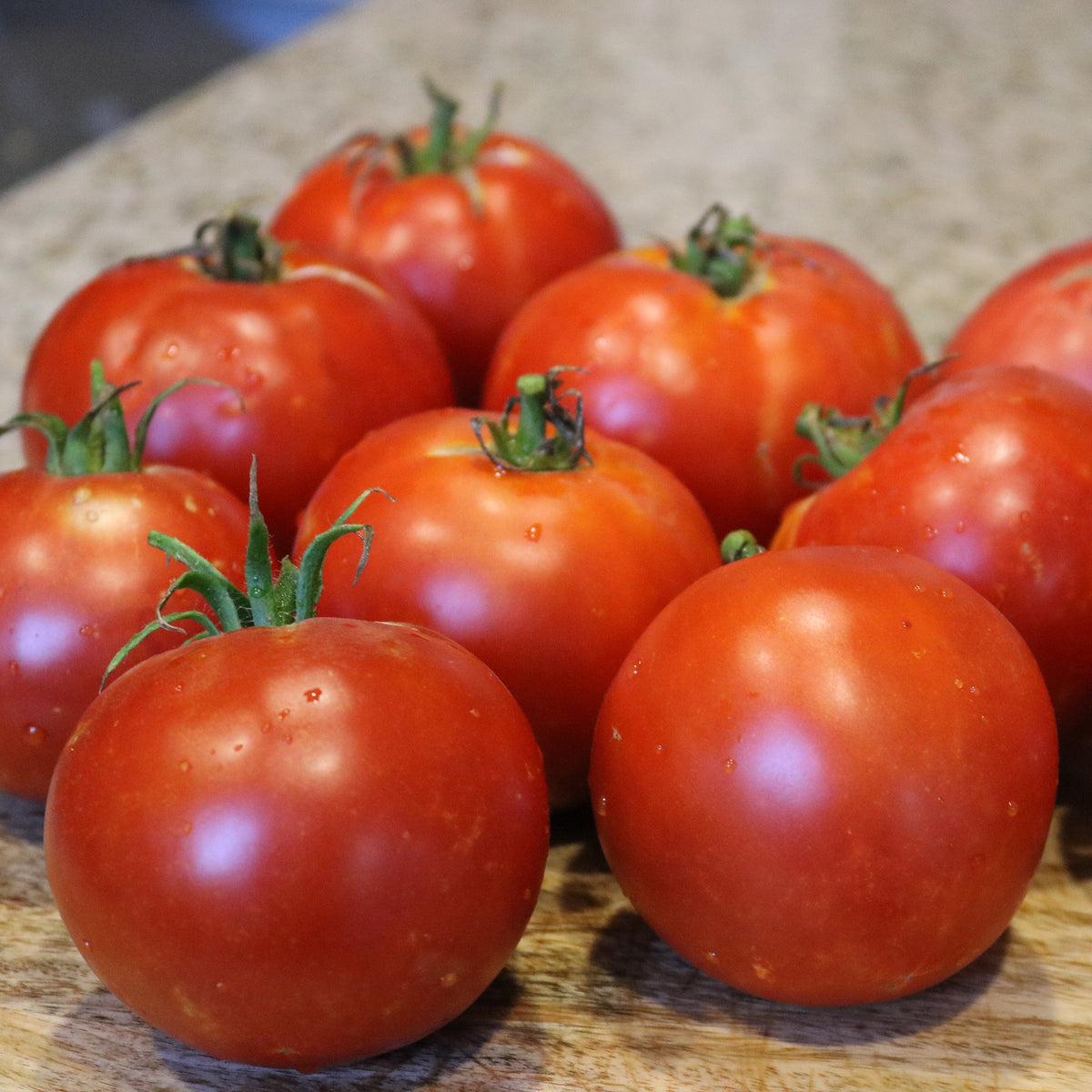 Tomato, Burpee Big Boy Hybrid