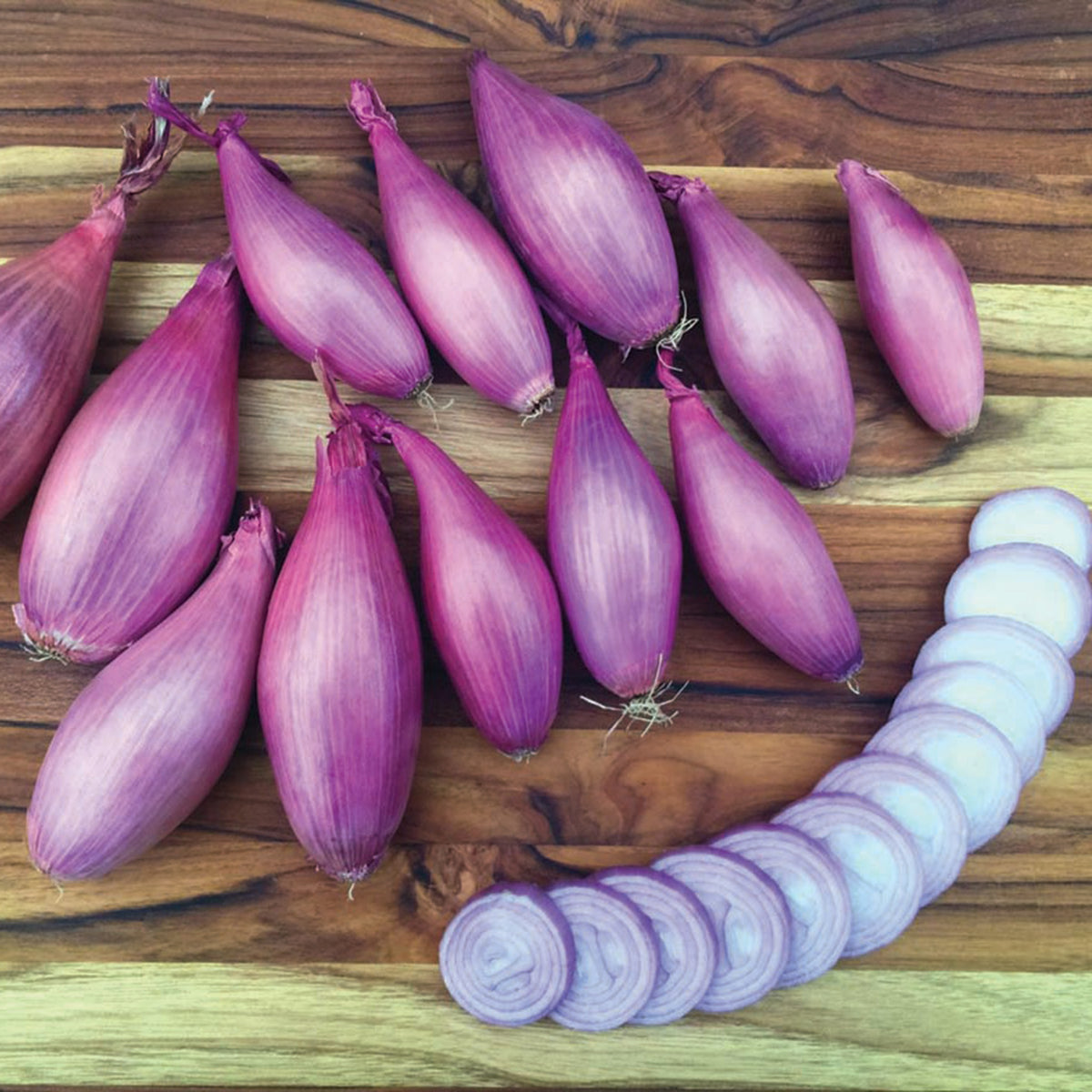 Shallots, Creme Brulee Hybrid