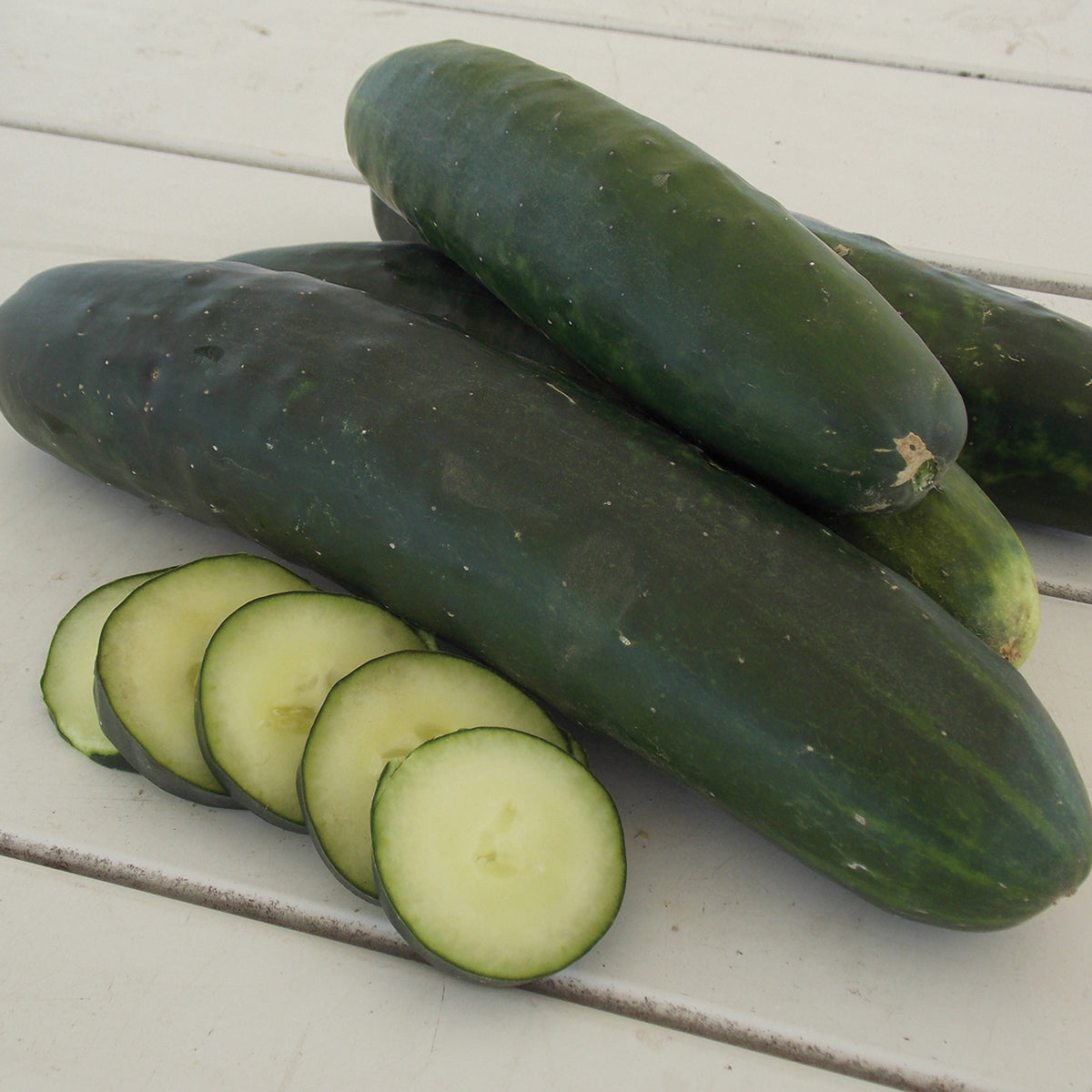 Cucumber, Fanfare Hybrid