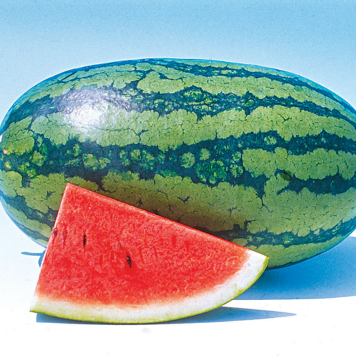 Watermelon, Sweet Beauty