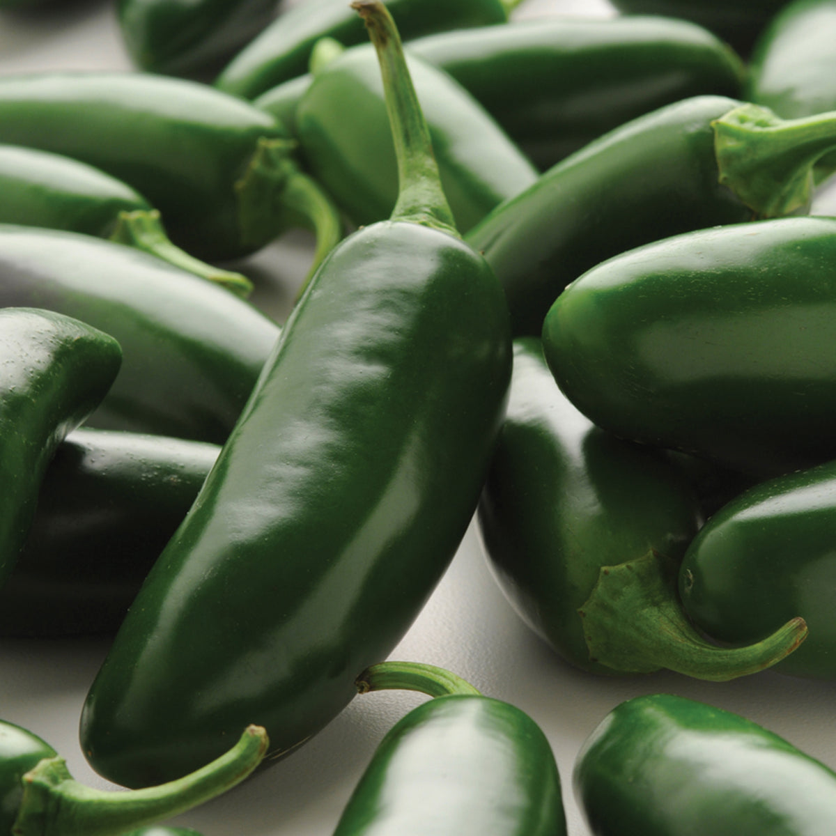 Pepper, Hot, La Bomba II Hybrid