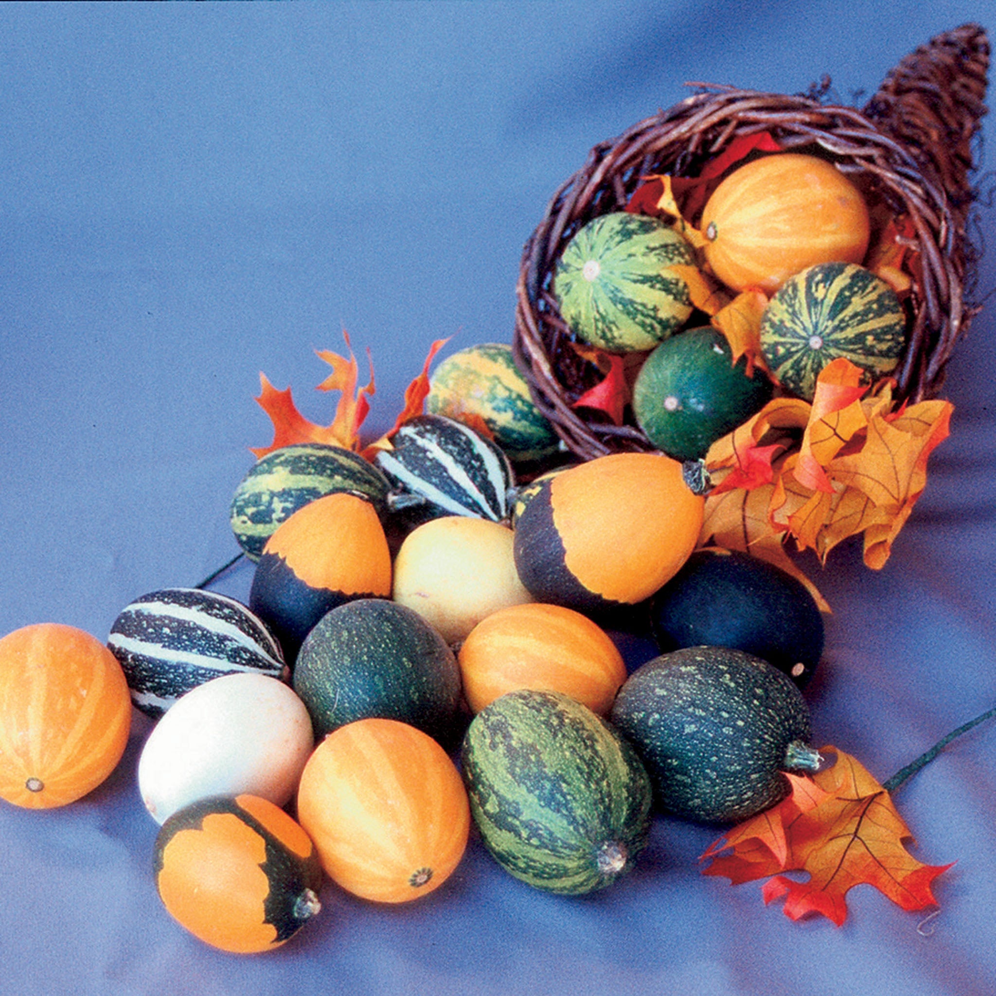 Gourds, Goblin Eggs