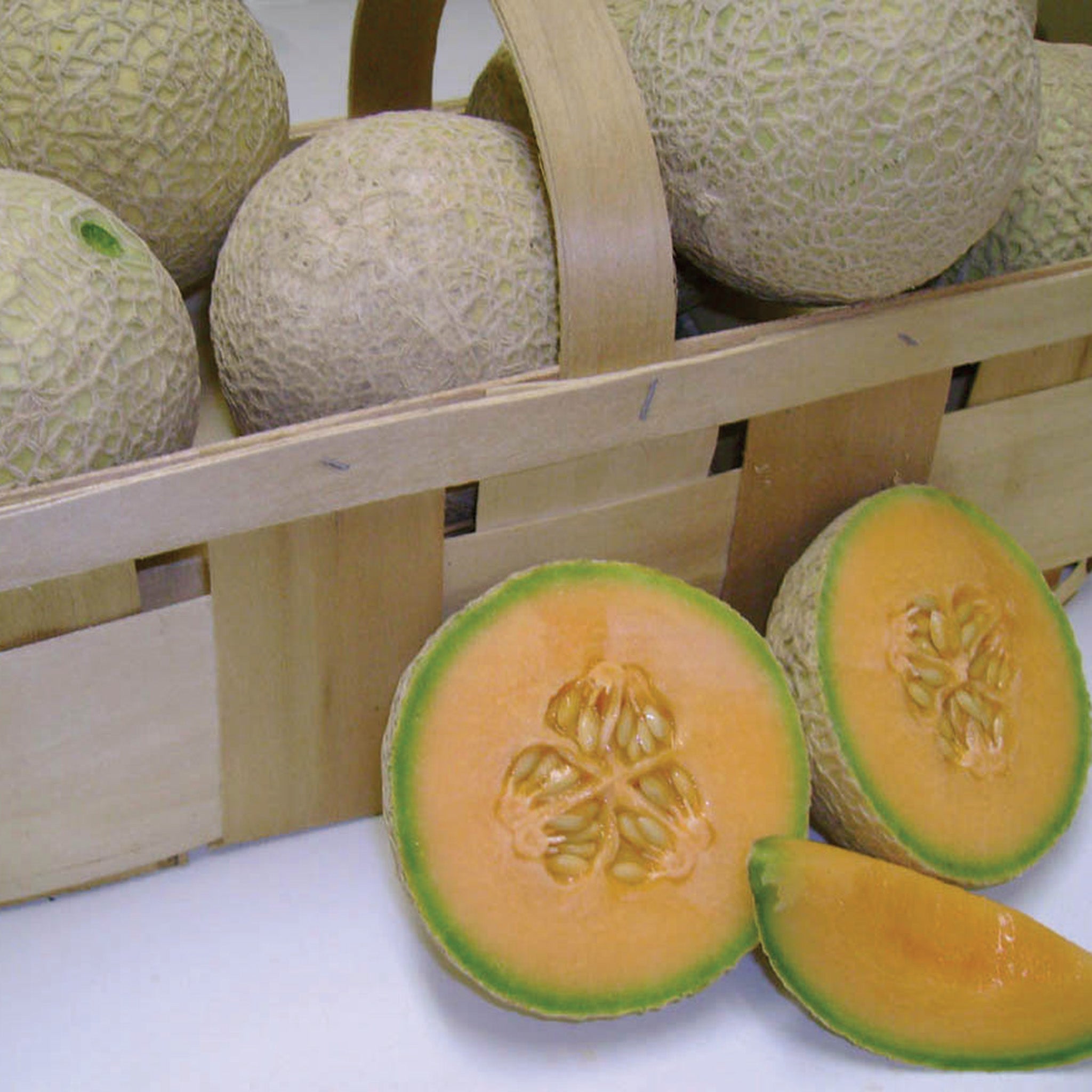 Melon, Sugar Cube Hybrid