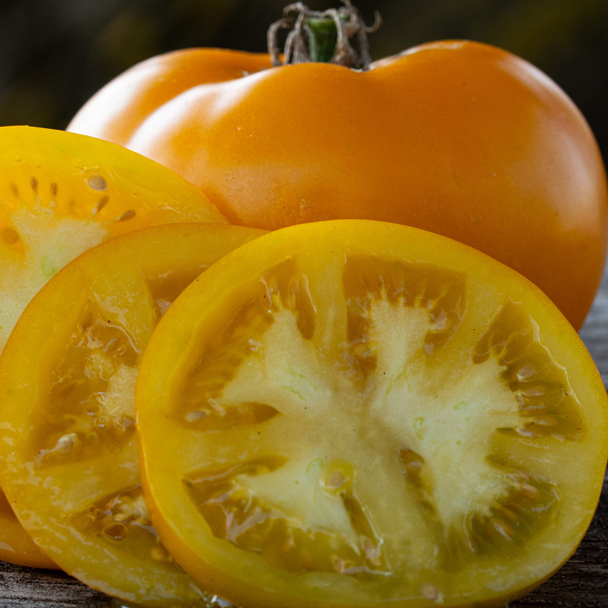 Tomato, Lemon Boy Plus Hybrid
