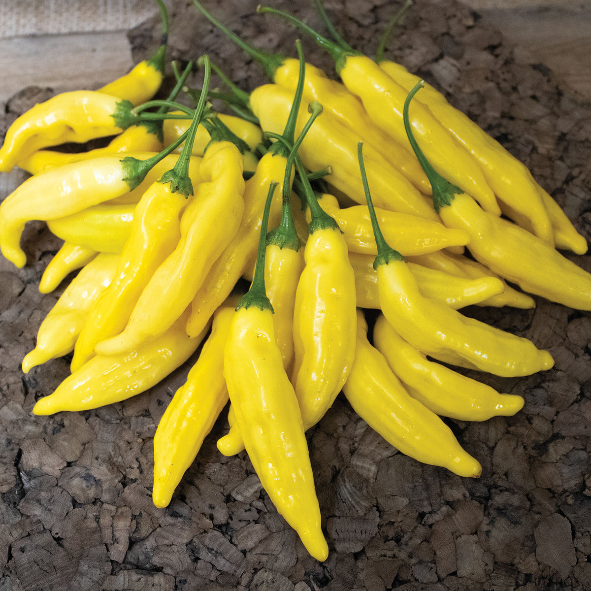 Pepper, Hot, Lemon Drop