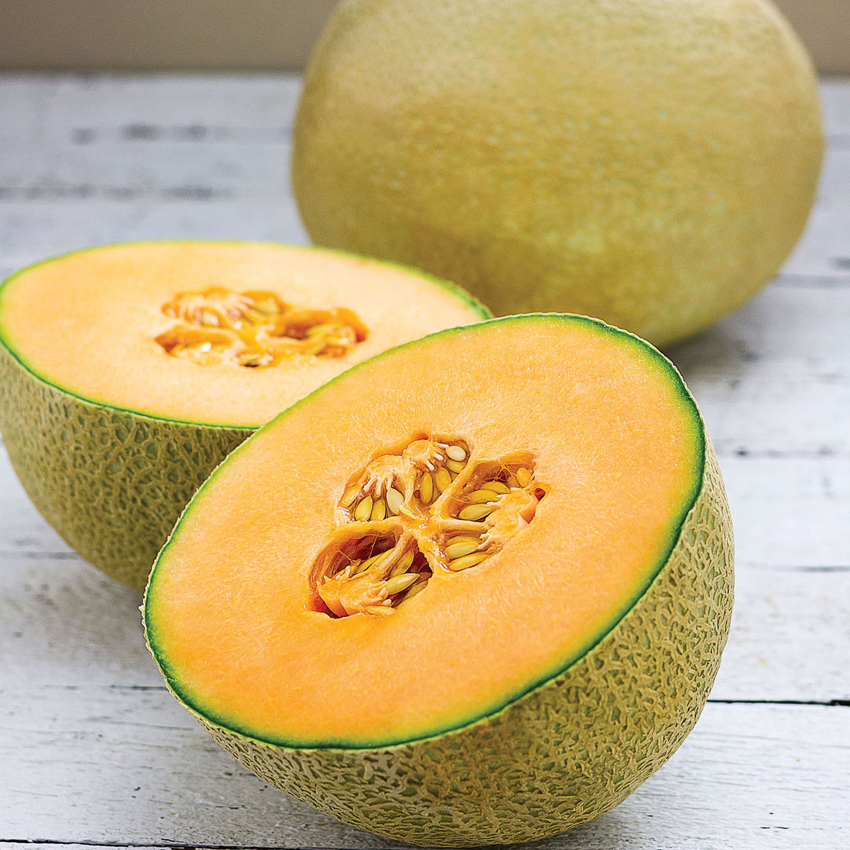 Melon, Infinite Gold Hybrid