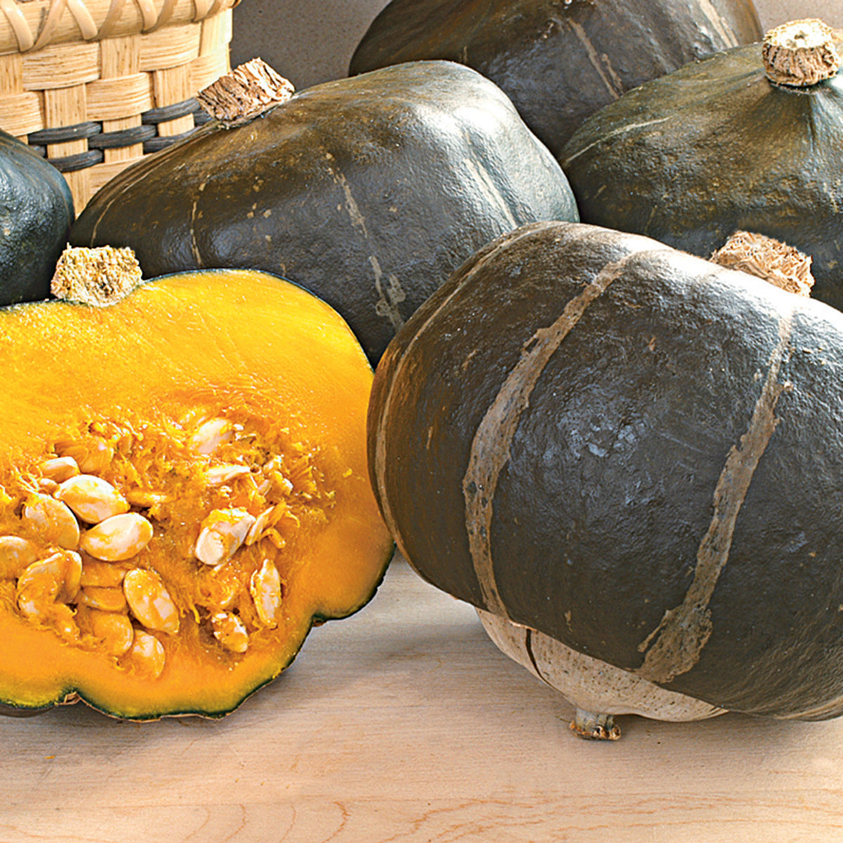 Squash, Winter, Bonbon Hybrid