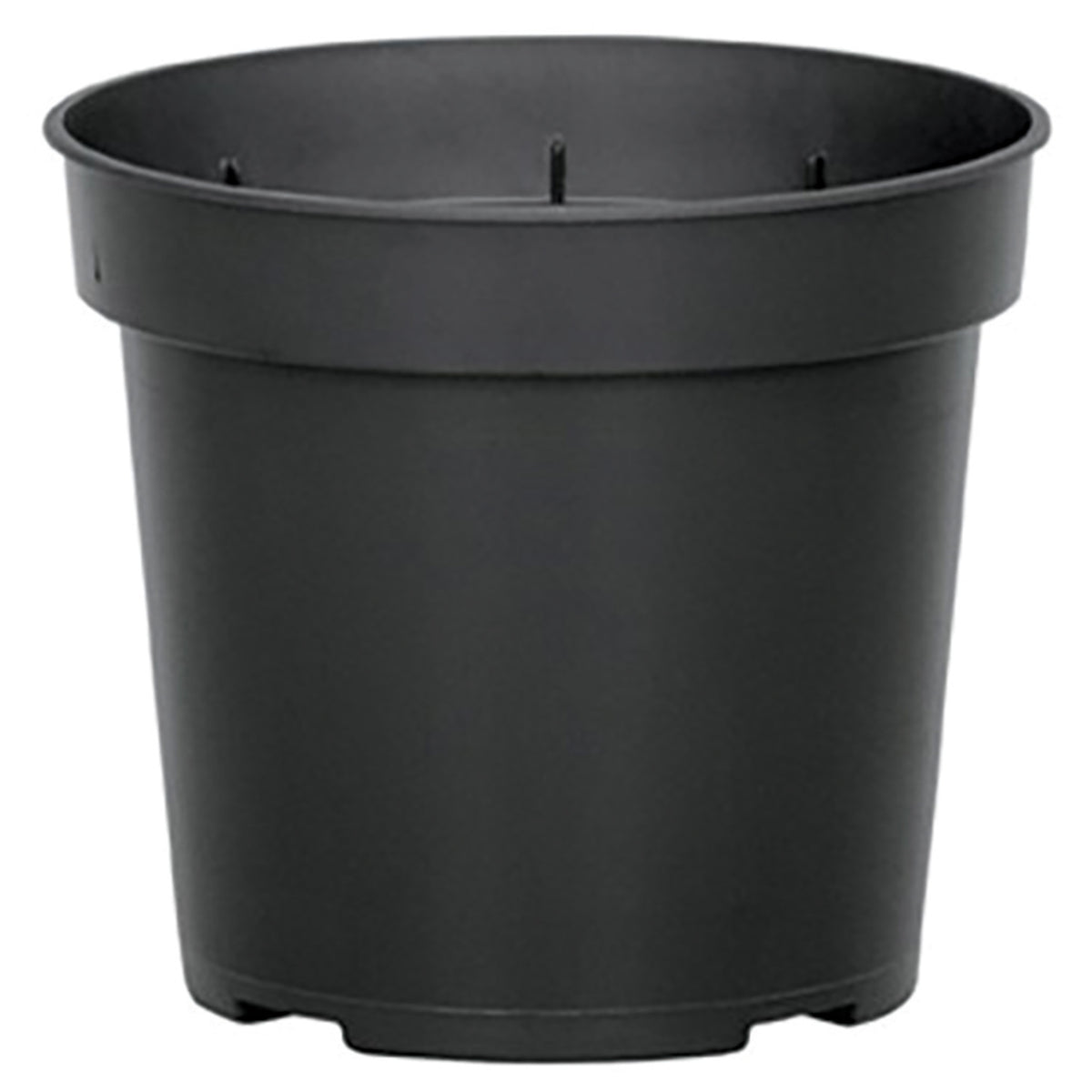 Dillen® Geranium Pot, Round, Black, 4.5 Inch