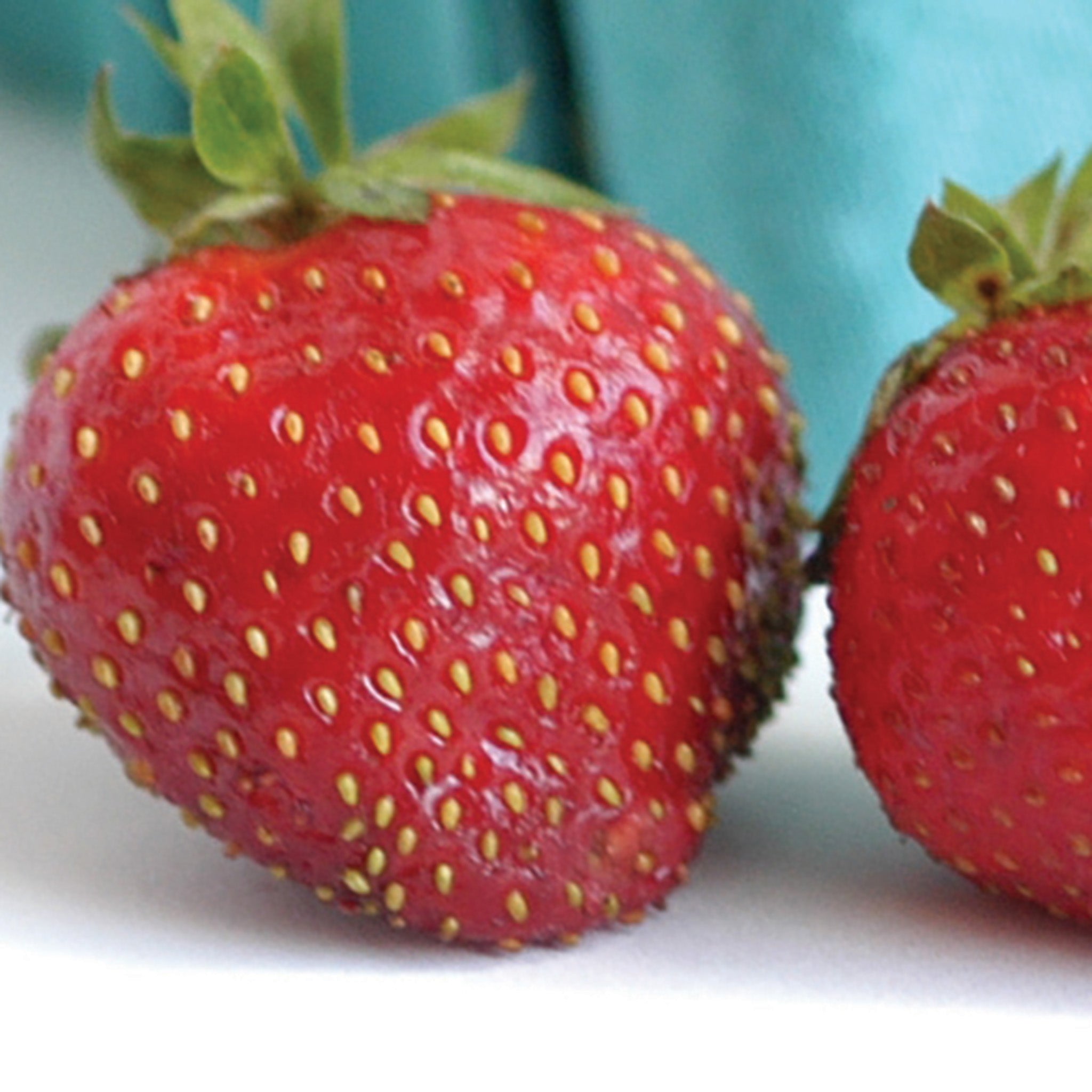 Strawberry, Day-Neutral, Seascape, 25 Plants