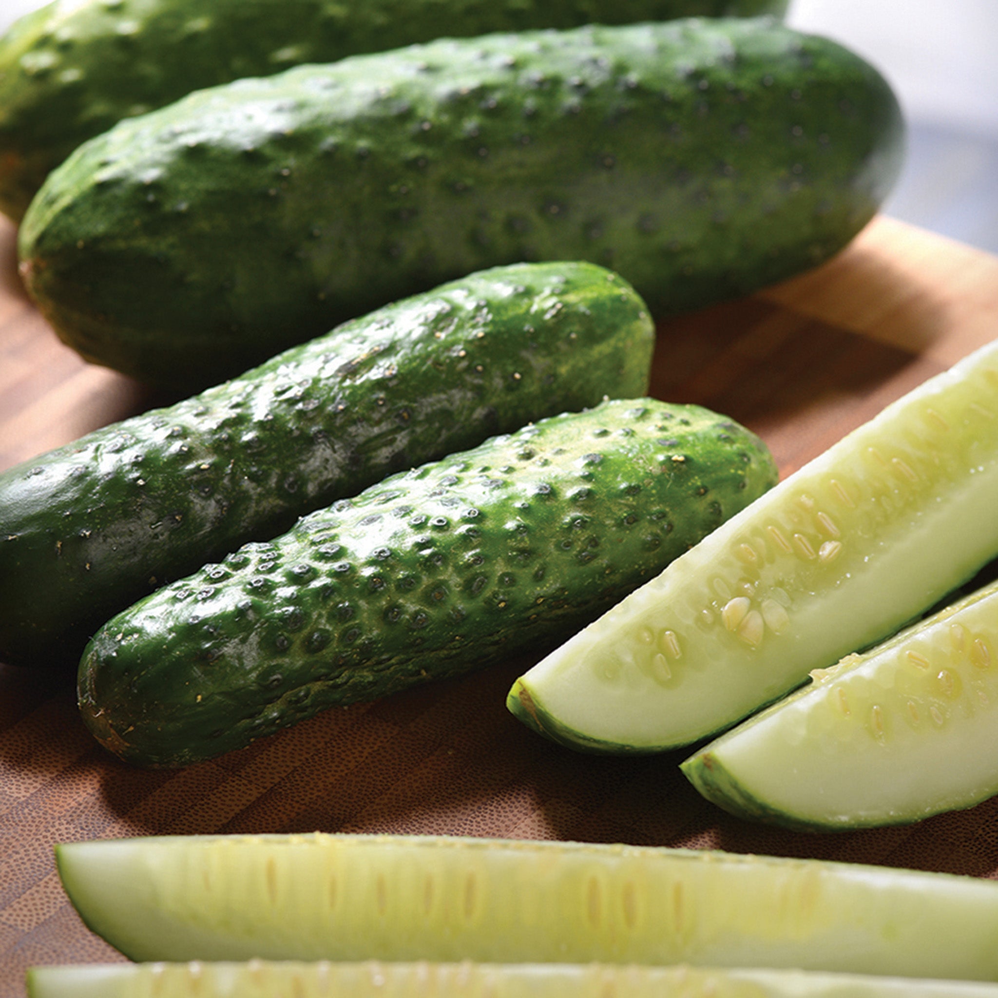 Cucumber, Gherking Hybrid – Jung Seed Company