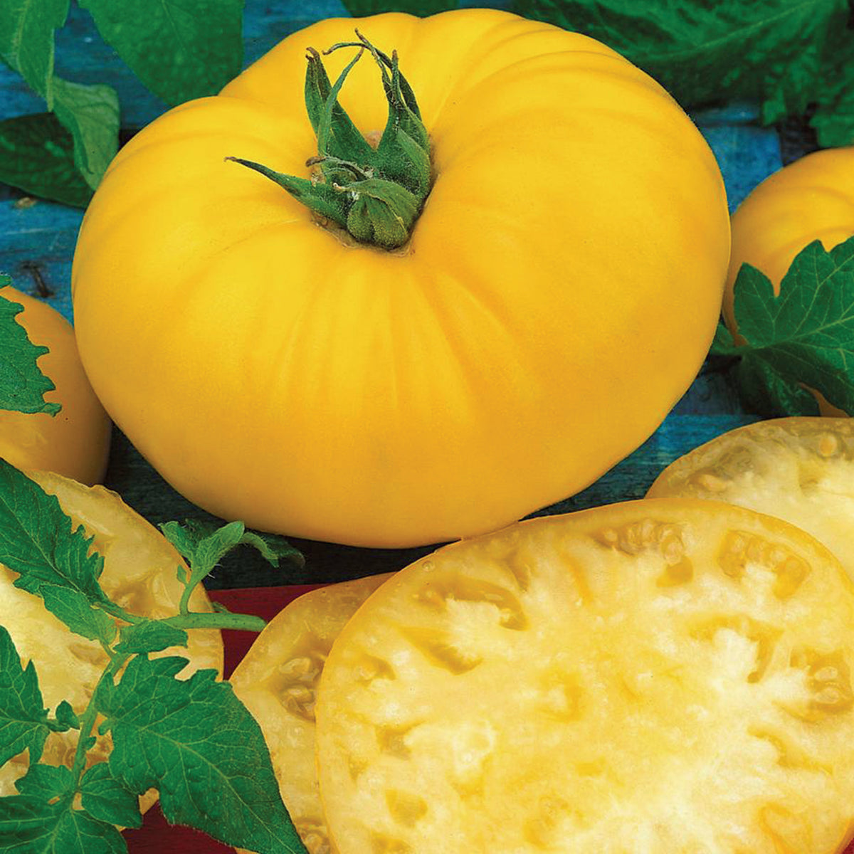 Tomato, Yellow Brandymaster Hybrid