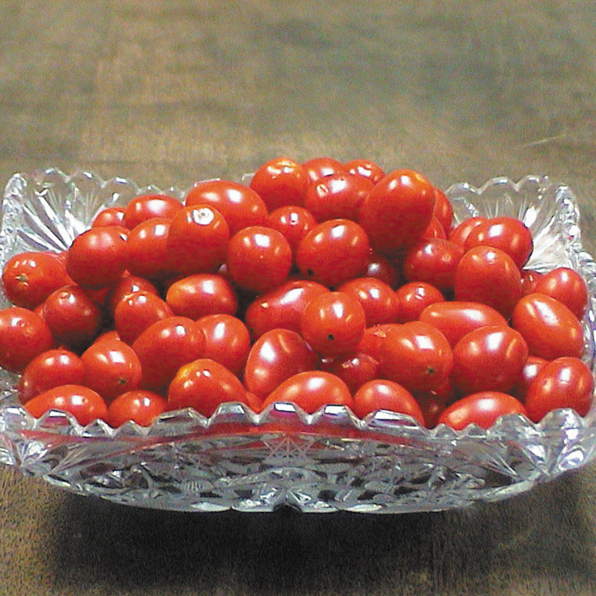 Tomato, Jelly Bean Red Hybrid