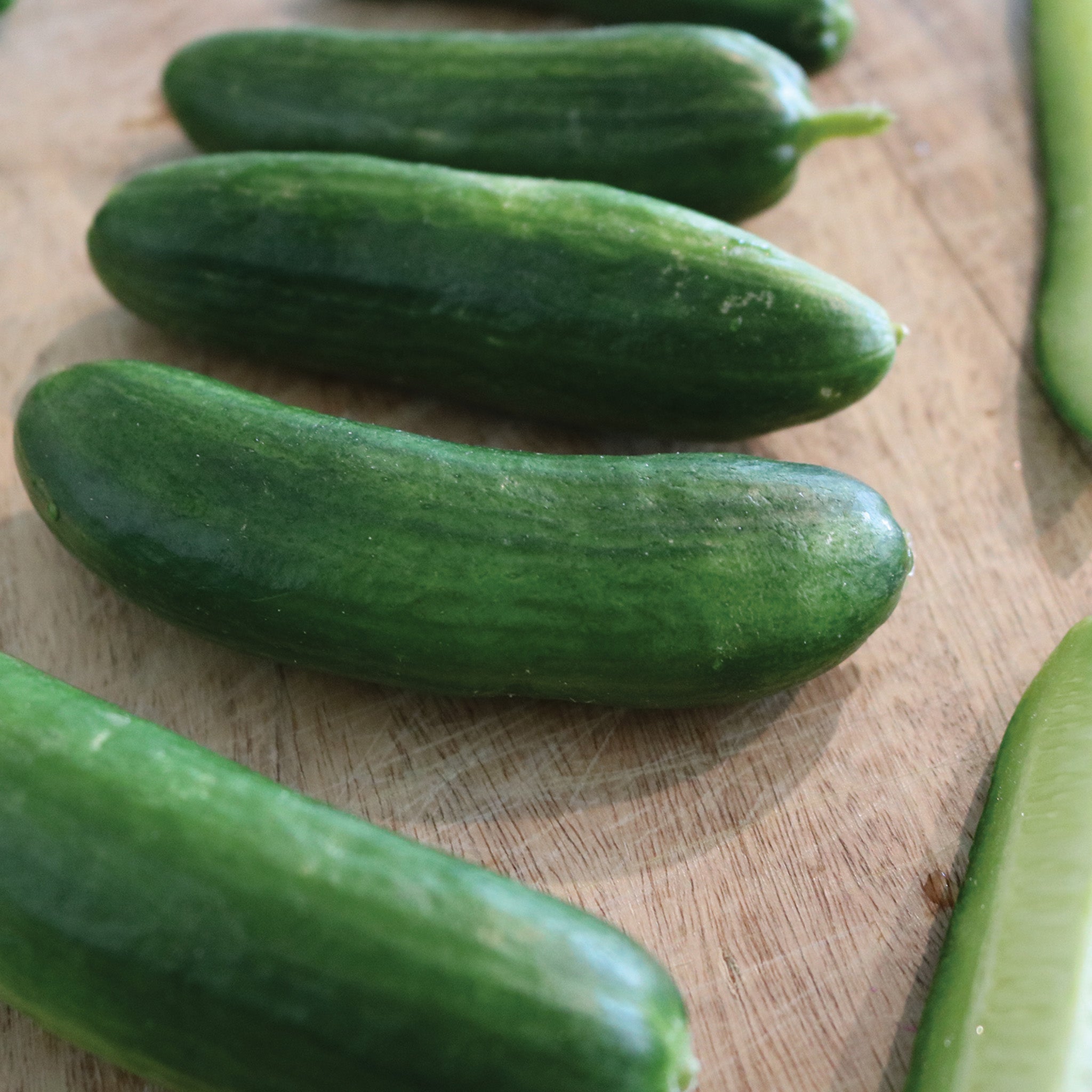 Cucumber, Easy Snack Hybrid