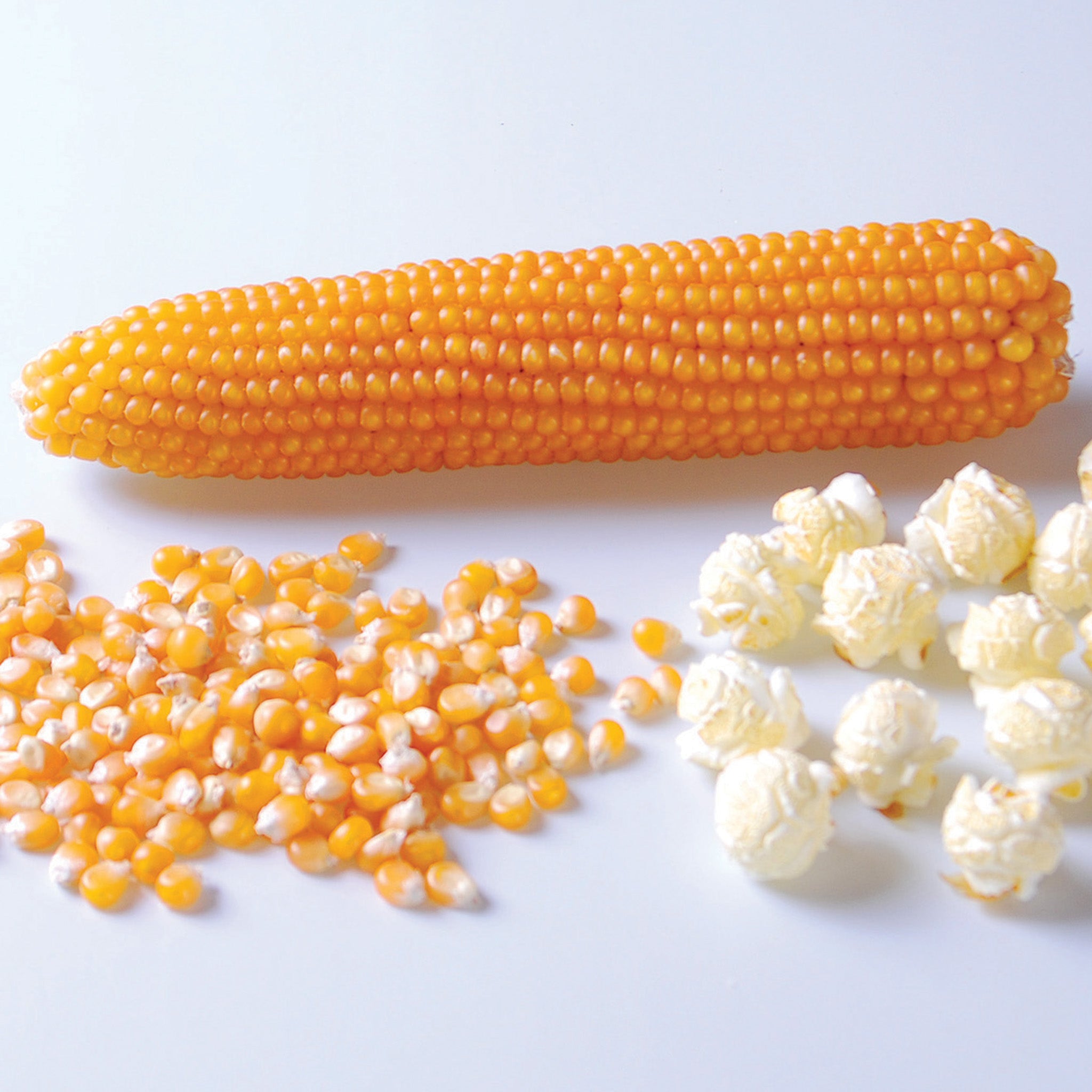 Popcorn, Puffy Pop Hybrid