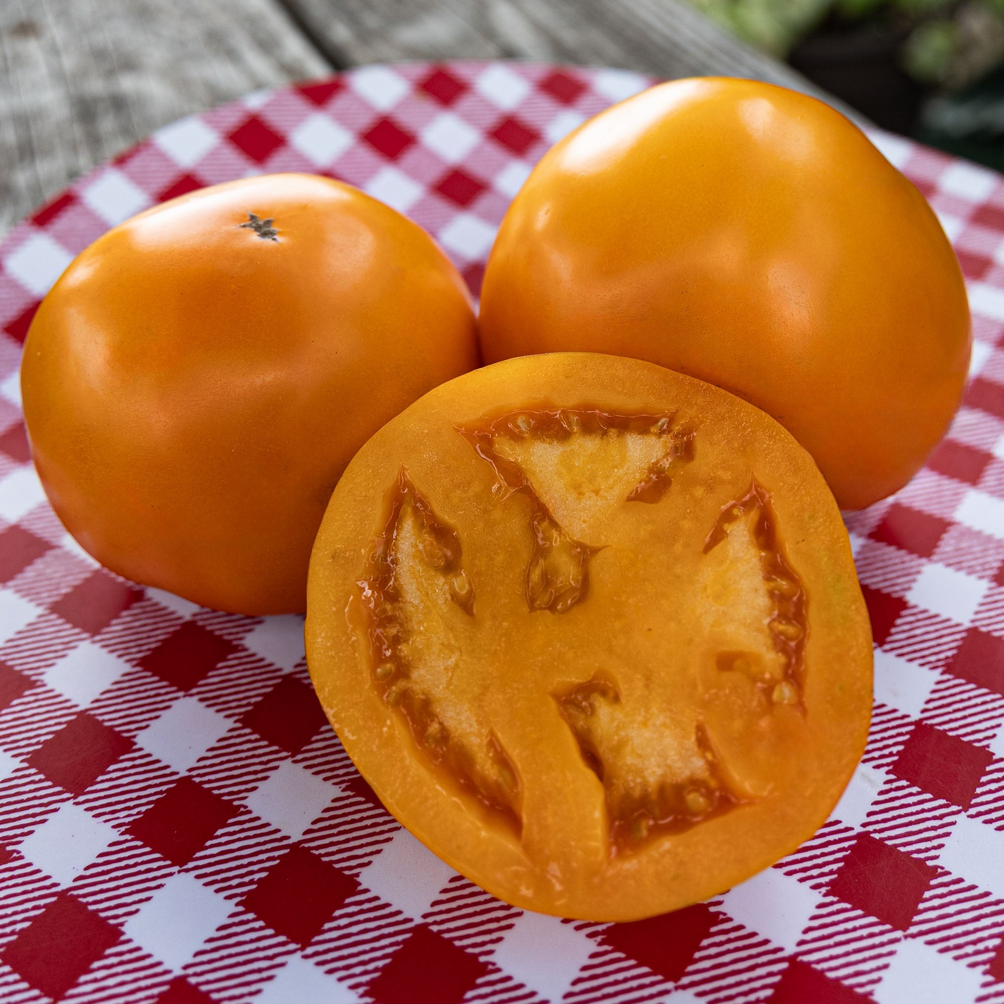Tomato, Chef's Choice Orange Hybrid