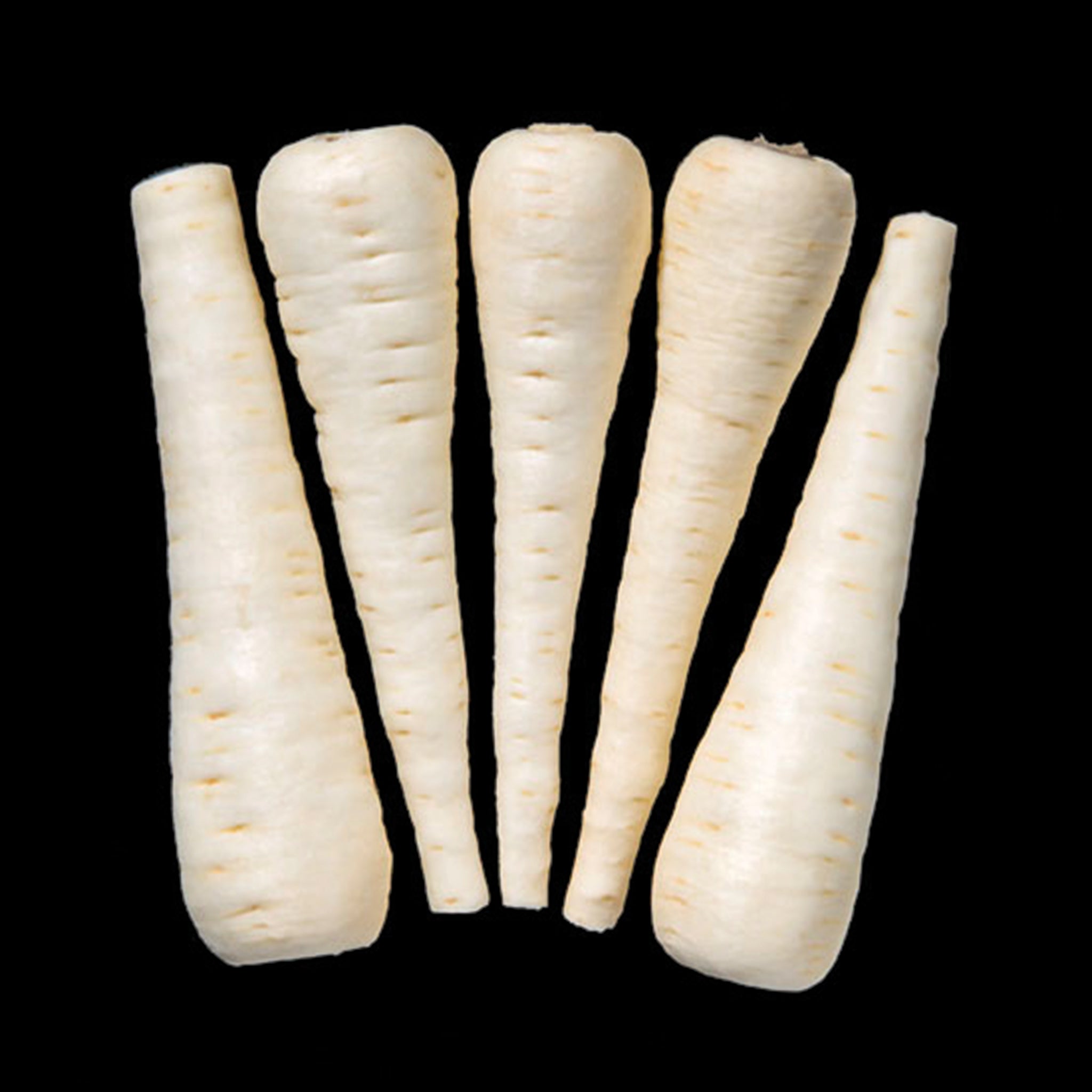 Parsnip, Albion Hybrid