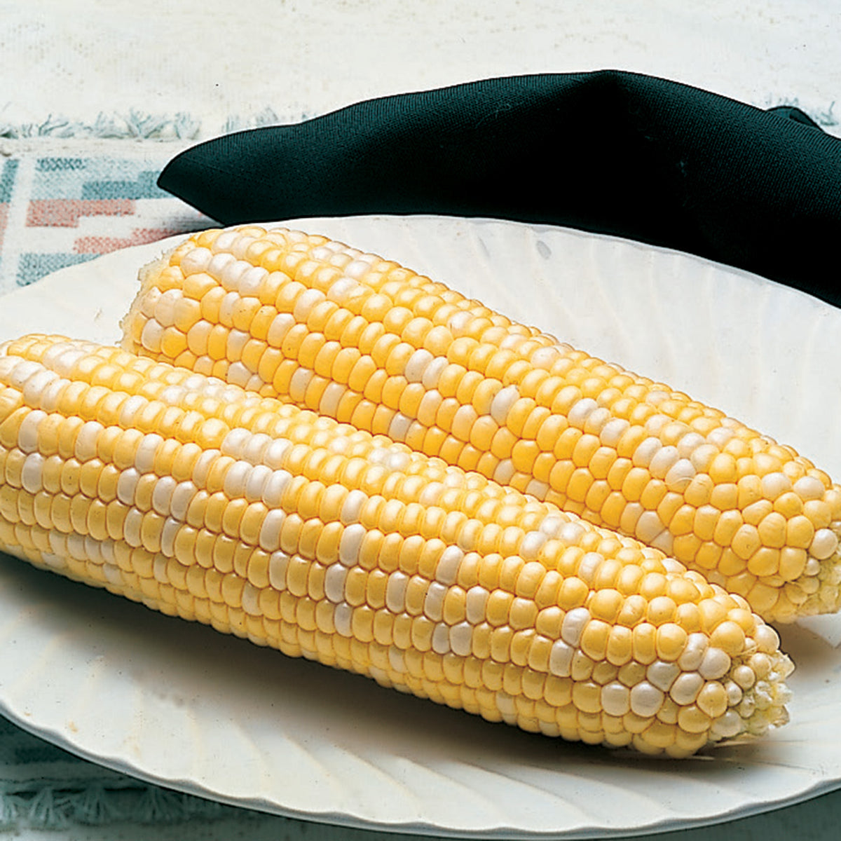 Sweet Corn, Delectable Bicolor Hybrid, Treated