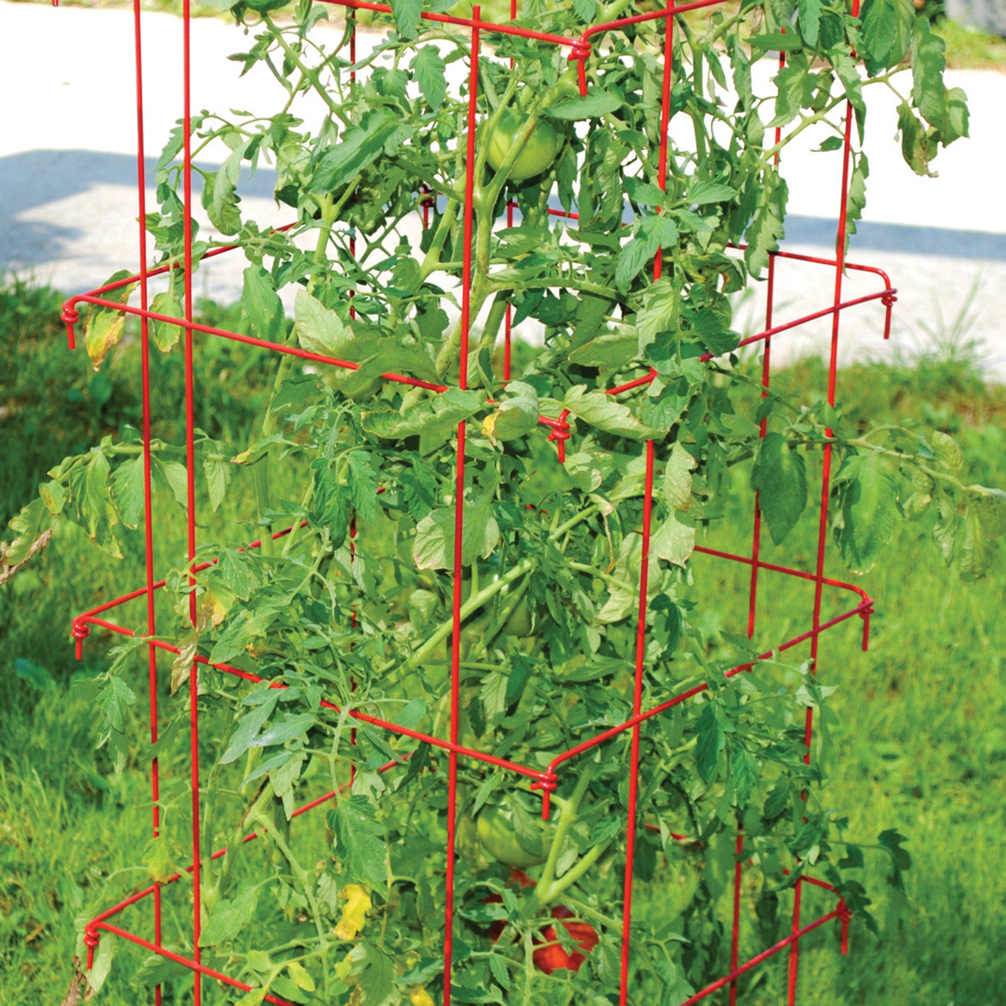 Pk 2: Jumbo Tomato Cage Red 58"