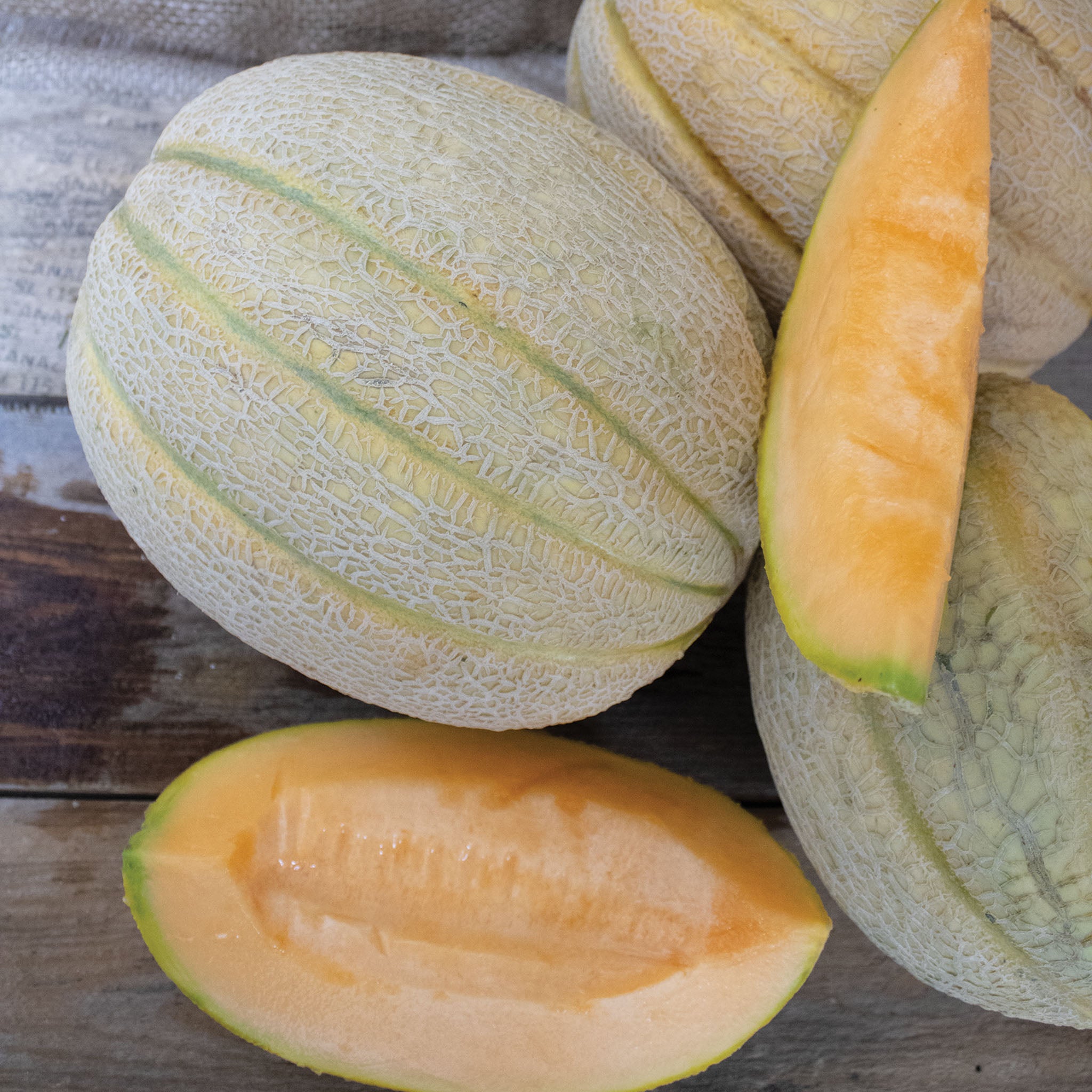 Melon, Solstice Hybrid