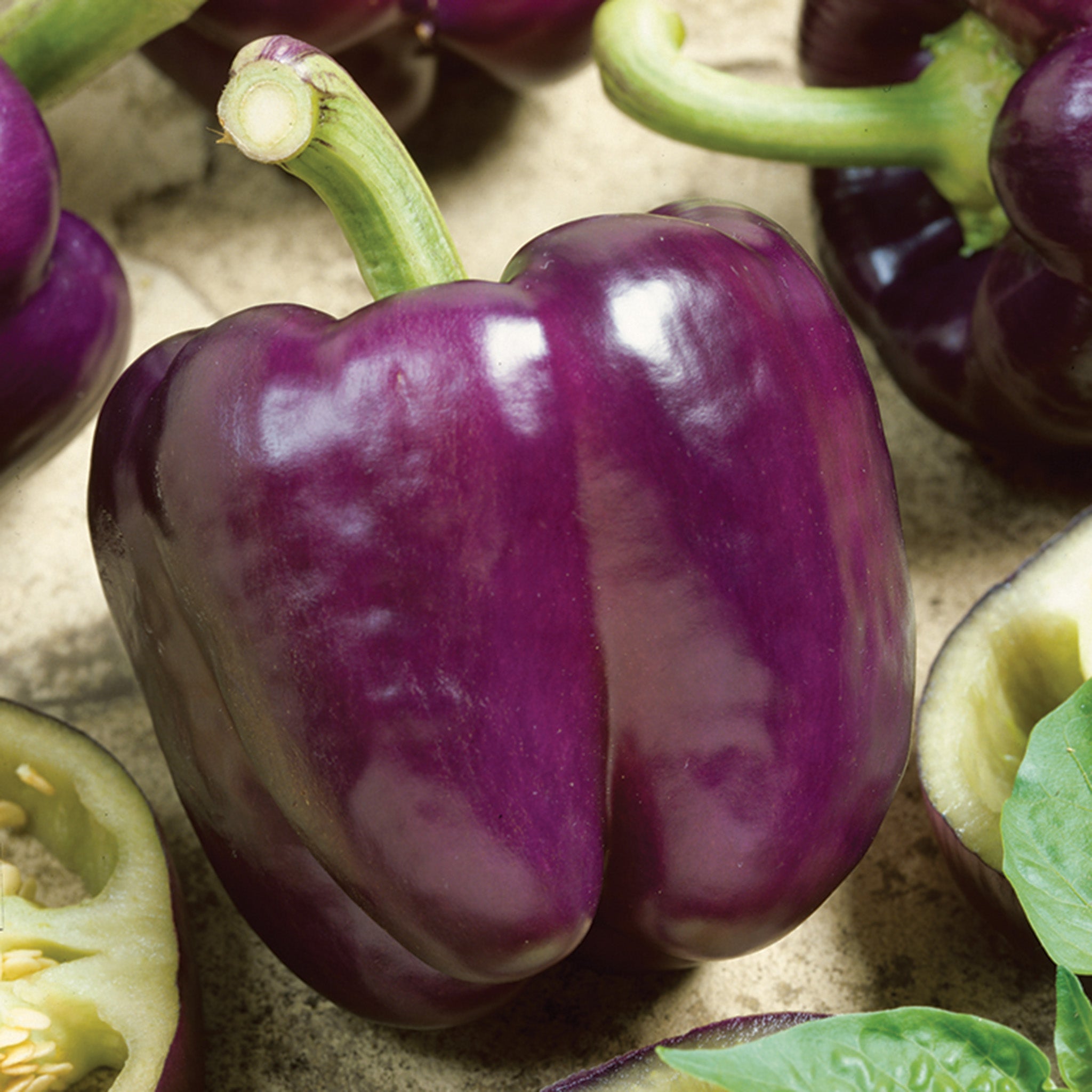 Pepper, Sweet, Purple Beauty