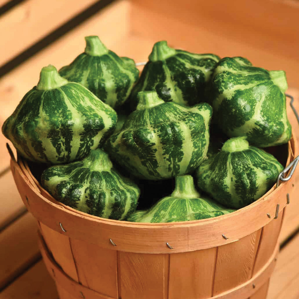 Squash, Summer, Green Lightning™ Hybrid