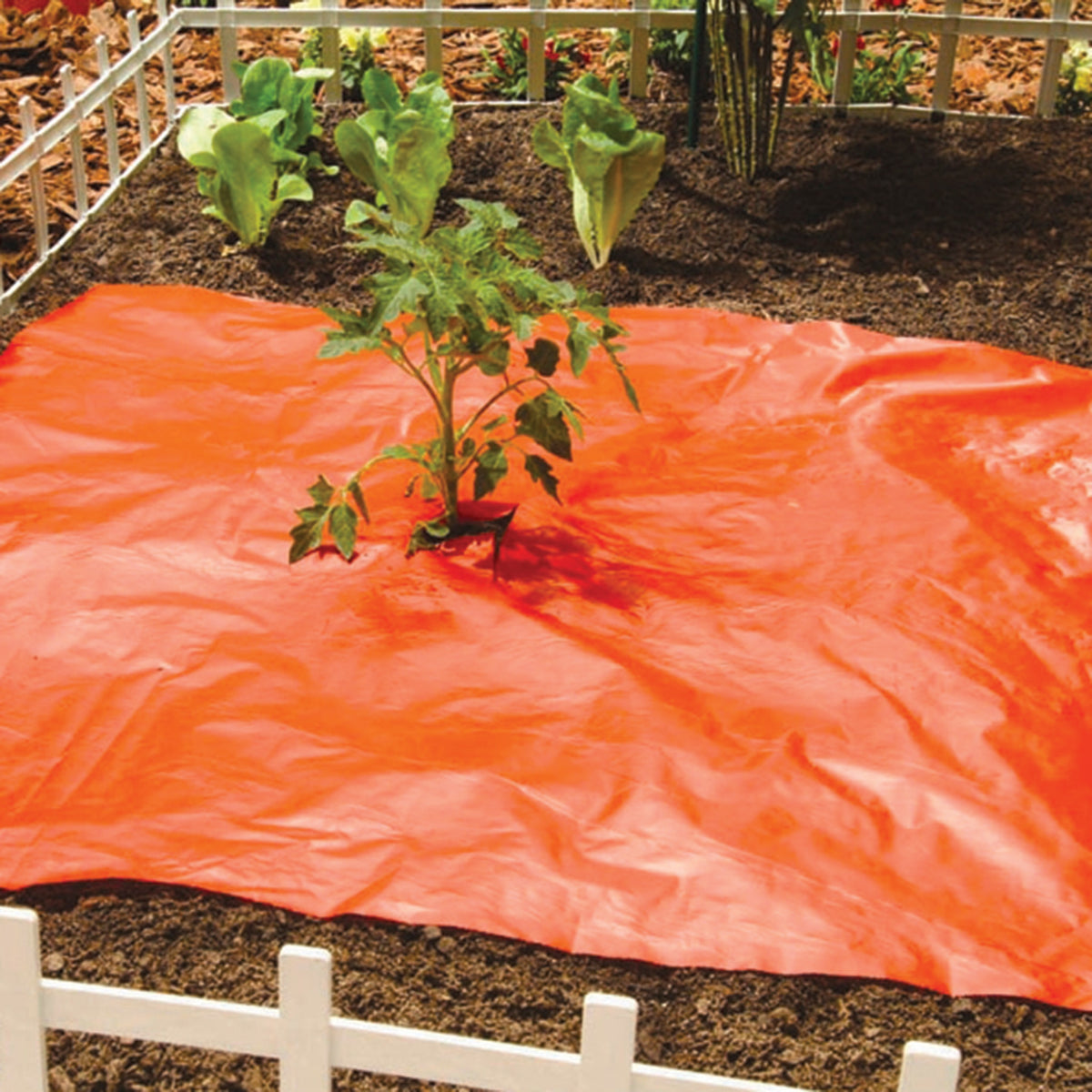 Mulch Film S-R-M Red 3 Ft x 3 Ft