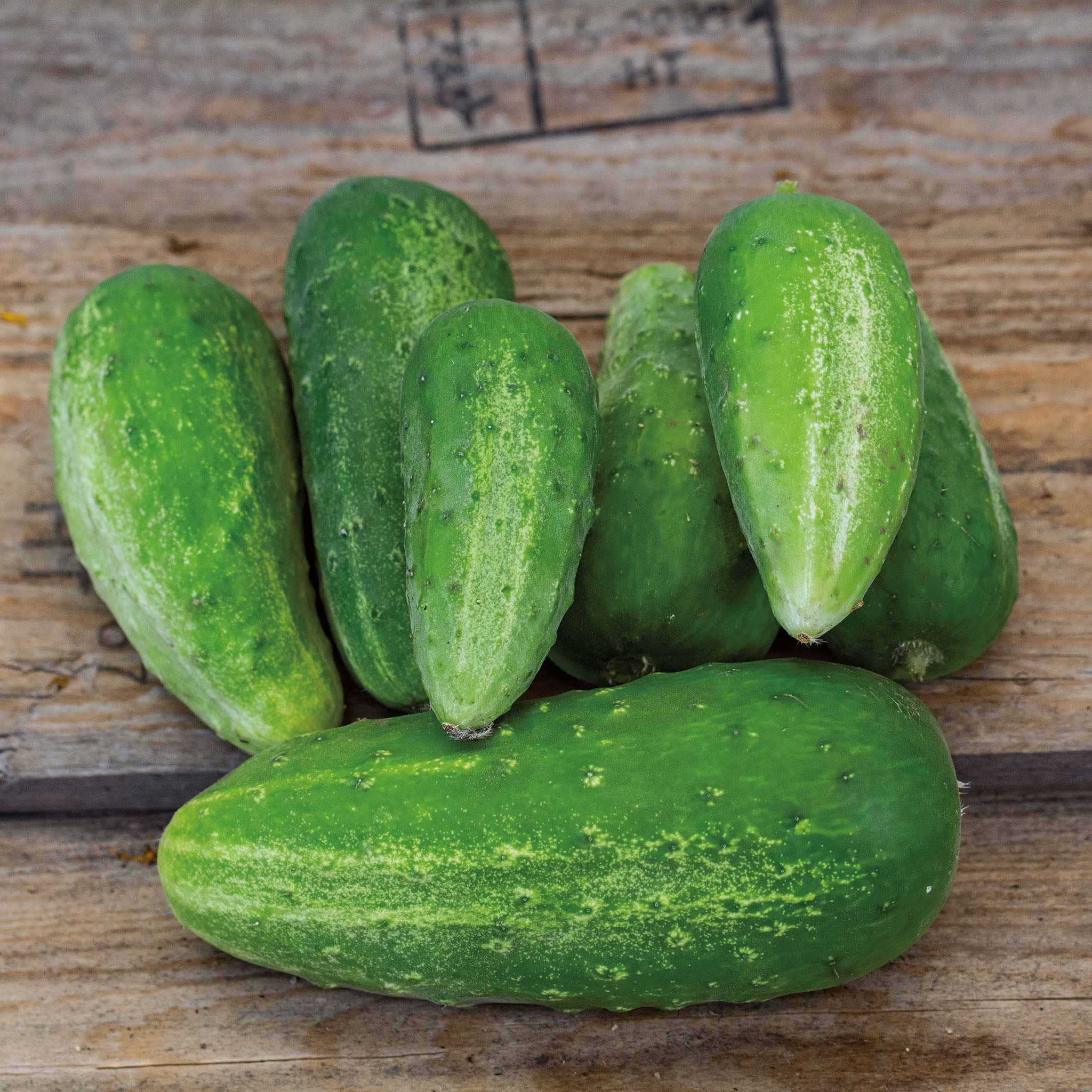 Cucumber, Homemade Pickles Organic