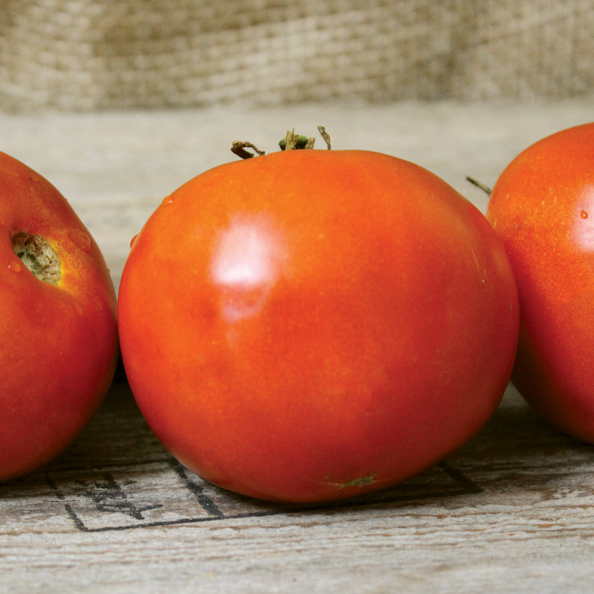 Tomato, Jung's Wayahead