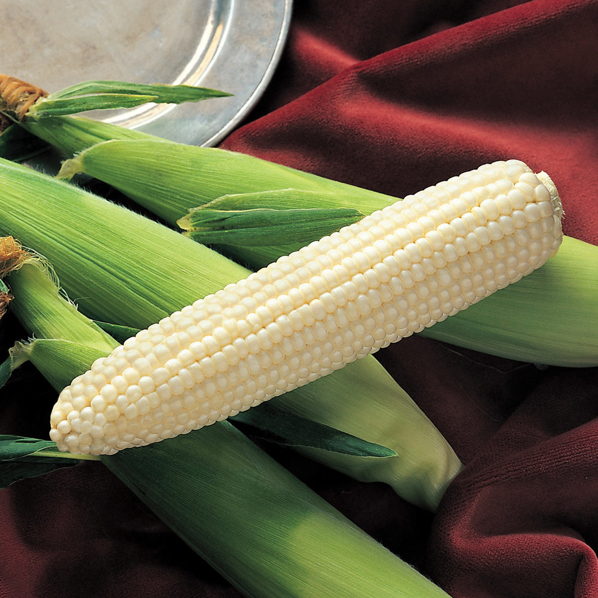 Sweet Corn, Silver King White Hybrid, Treated