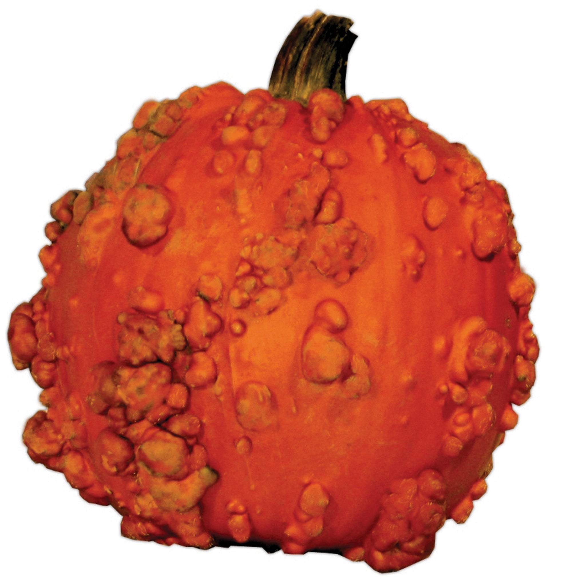 Pumpkin, Super Freak™ Goosebumps II Hybrid