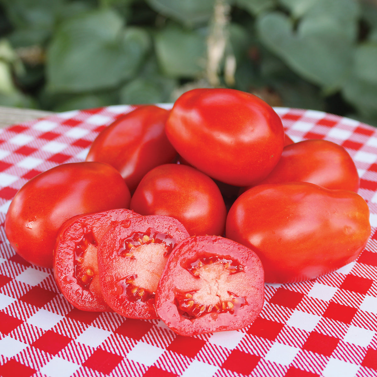 Tomato, Roma