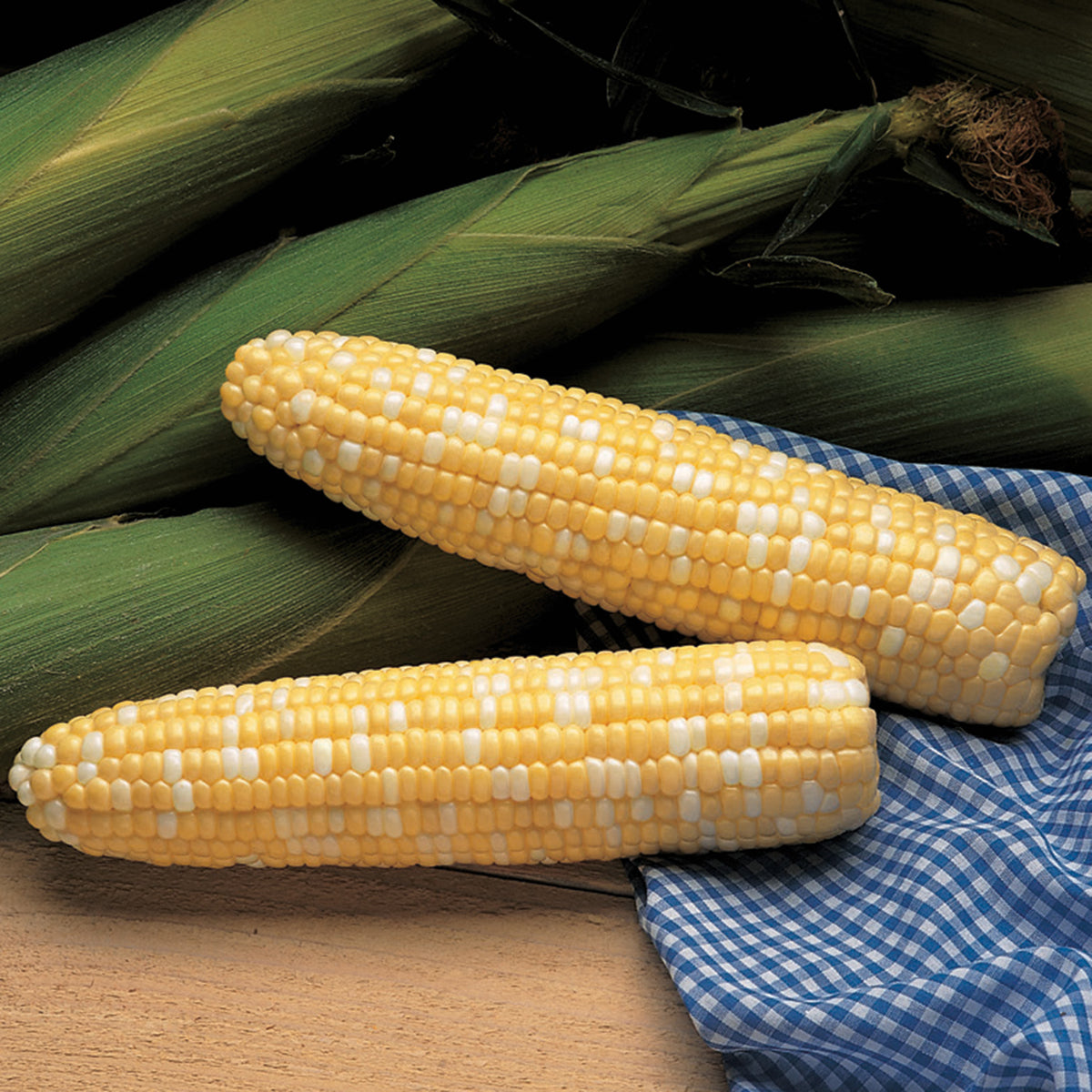 Sweet Corn, Serendipity Triplesweet Bicolor Hybrid, Untreated.