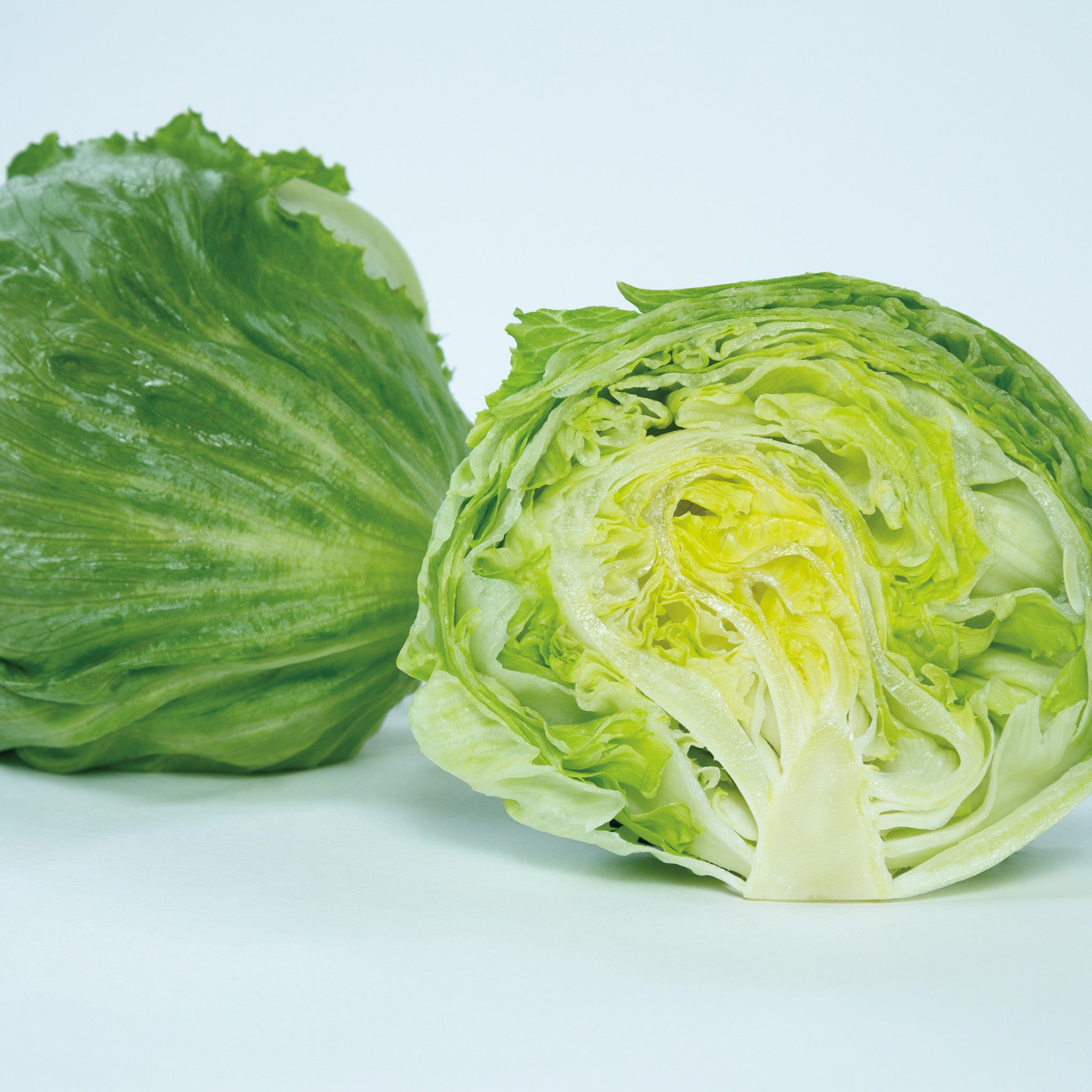 Lettuce, Head, Chamisal