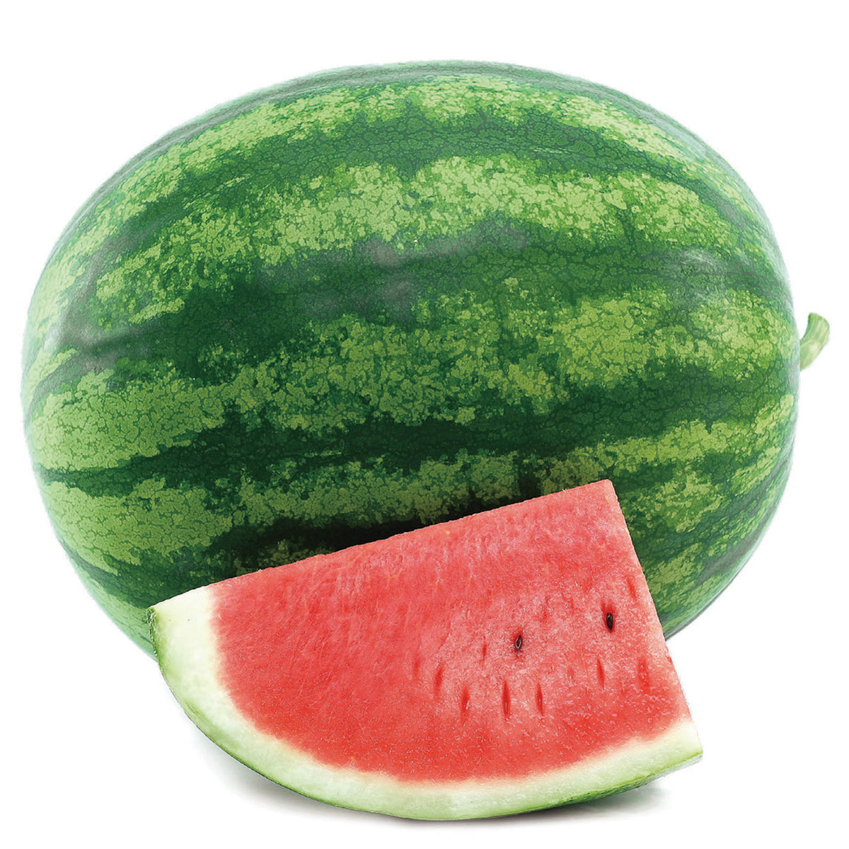 Watermelon, Shiny Boy Hybrid