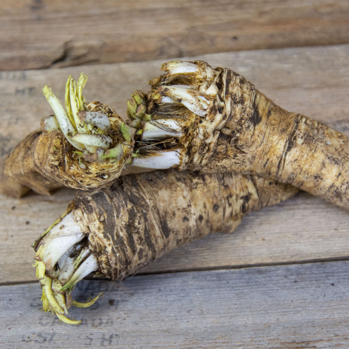 Horseradish, Bohemian, Set of 3 Crowns