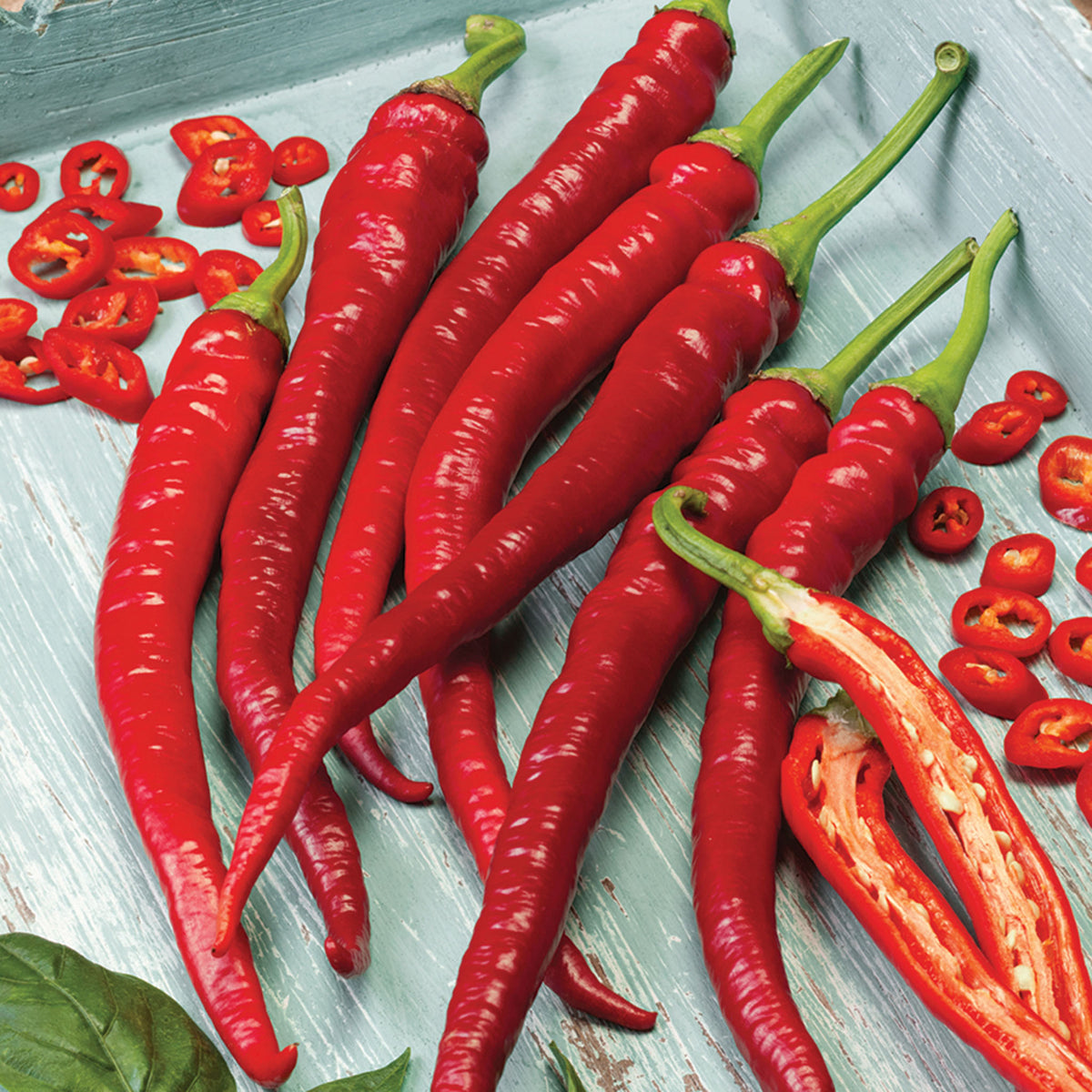 Pepper, Hot, Cayenne Long Red Thin