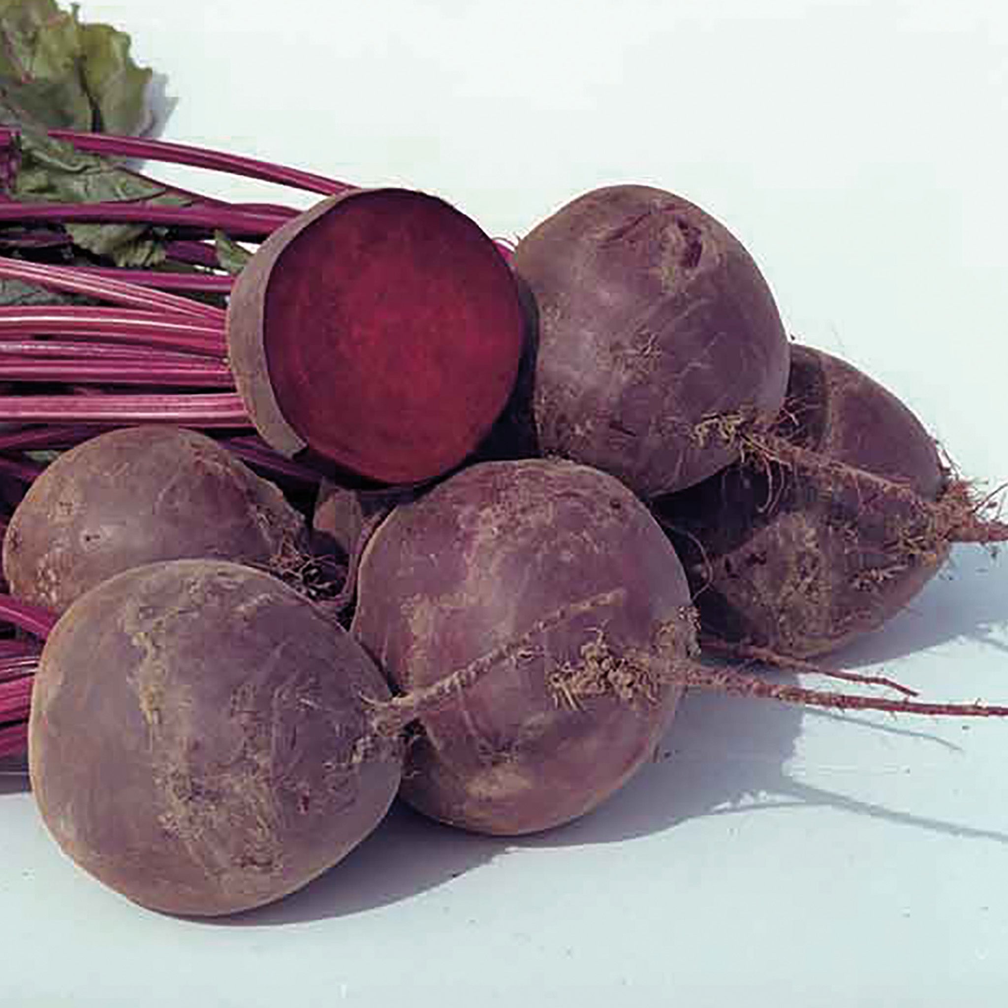 Beet, Boro Hybrid Organic
