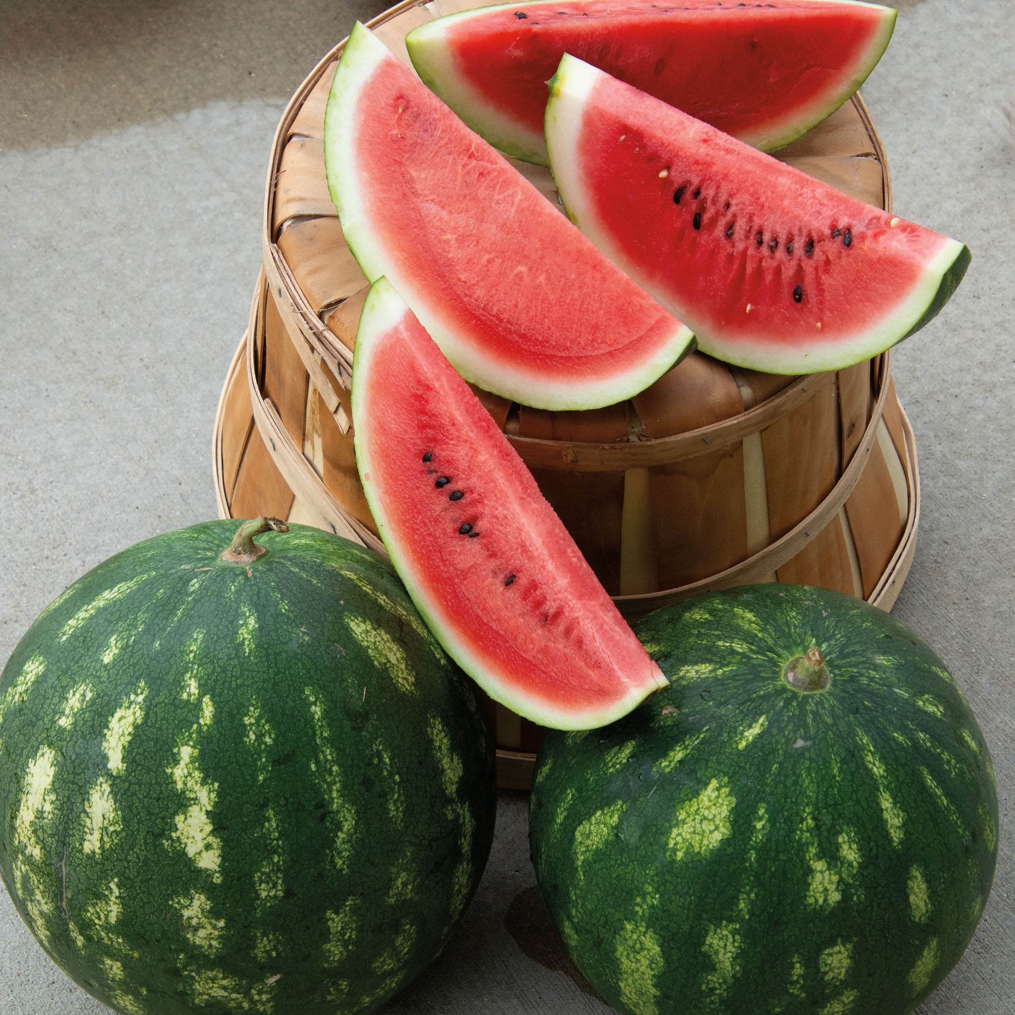 Watermelon, Cal Sweet Bush