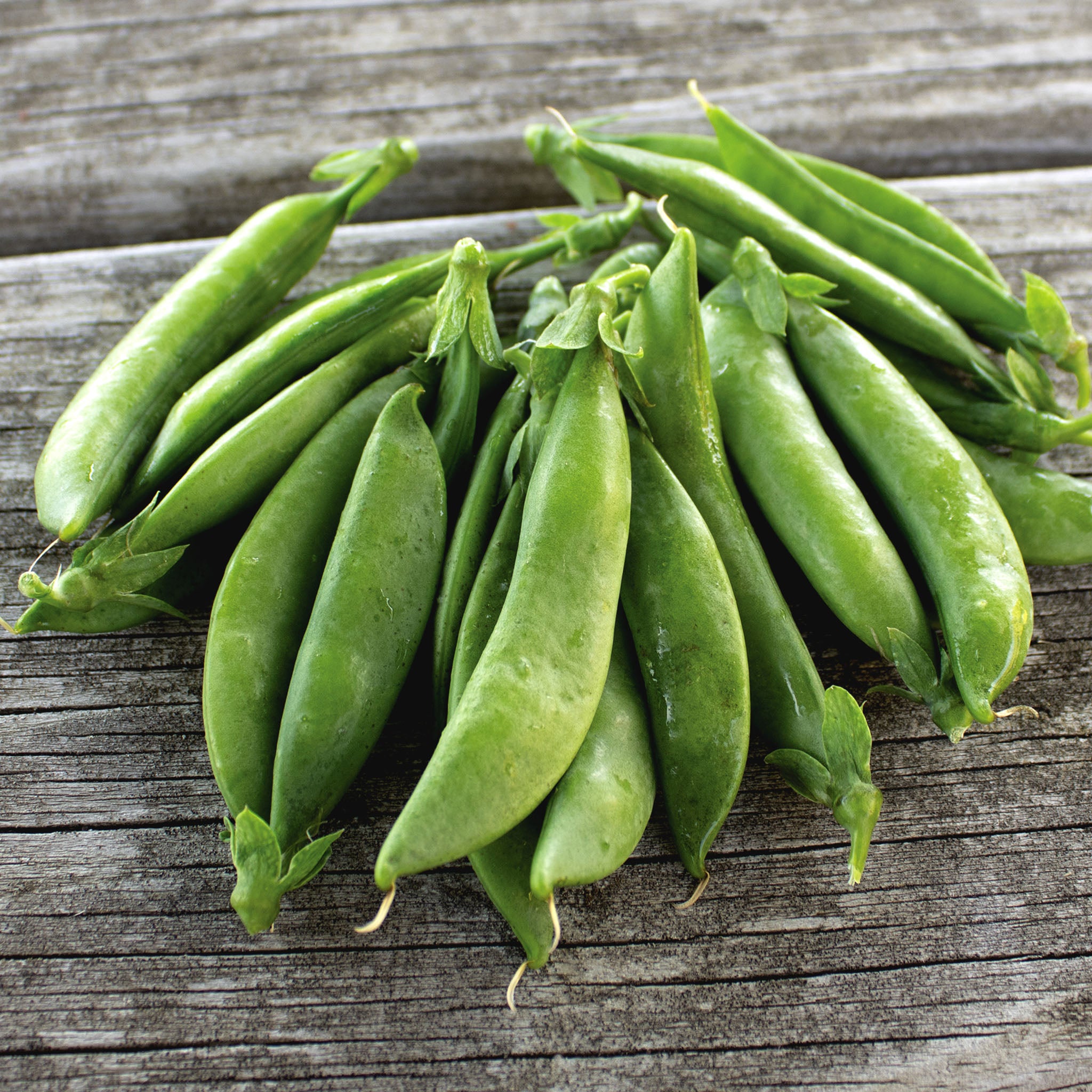 Pea, Tender Sweet