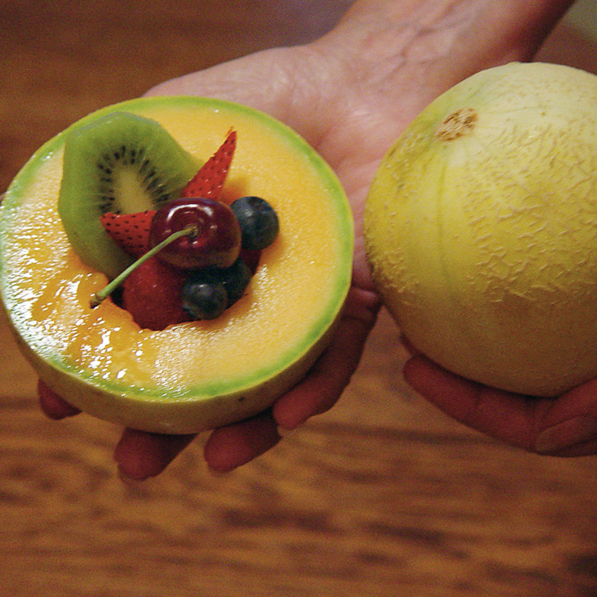 Melon, Tasty Bites Hybrid
