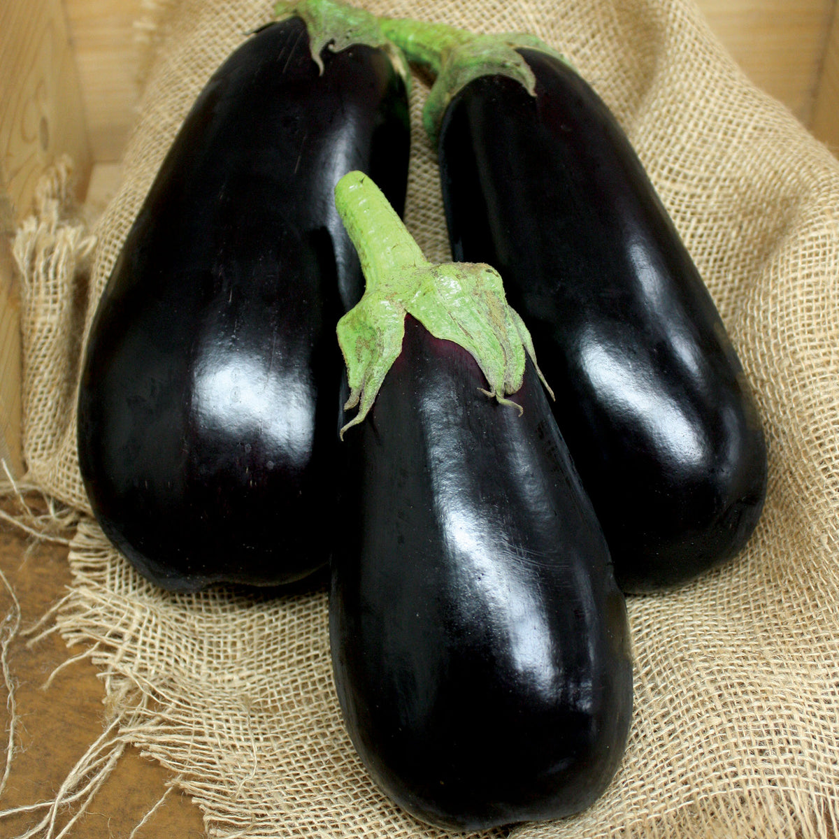 Eggplant, Nadia Hybrid